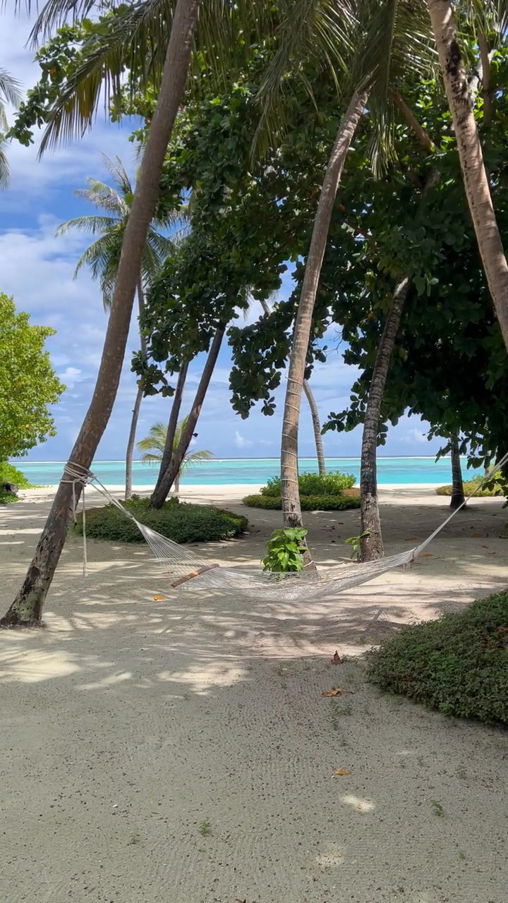 dream escape
📍 Maldives
🎥 Andrey Denin · Pexels
#travel #beach #island #paradise #wanderlust