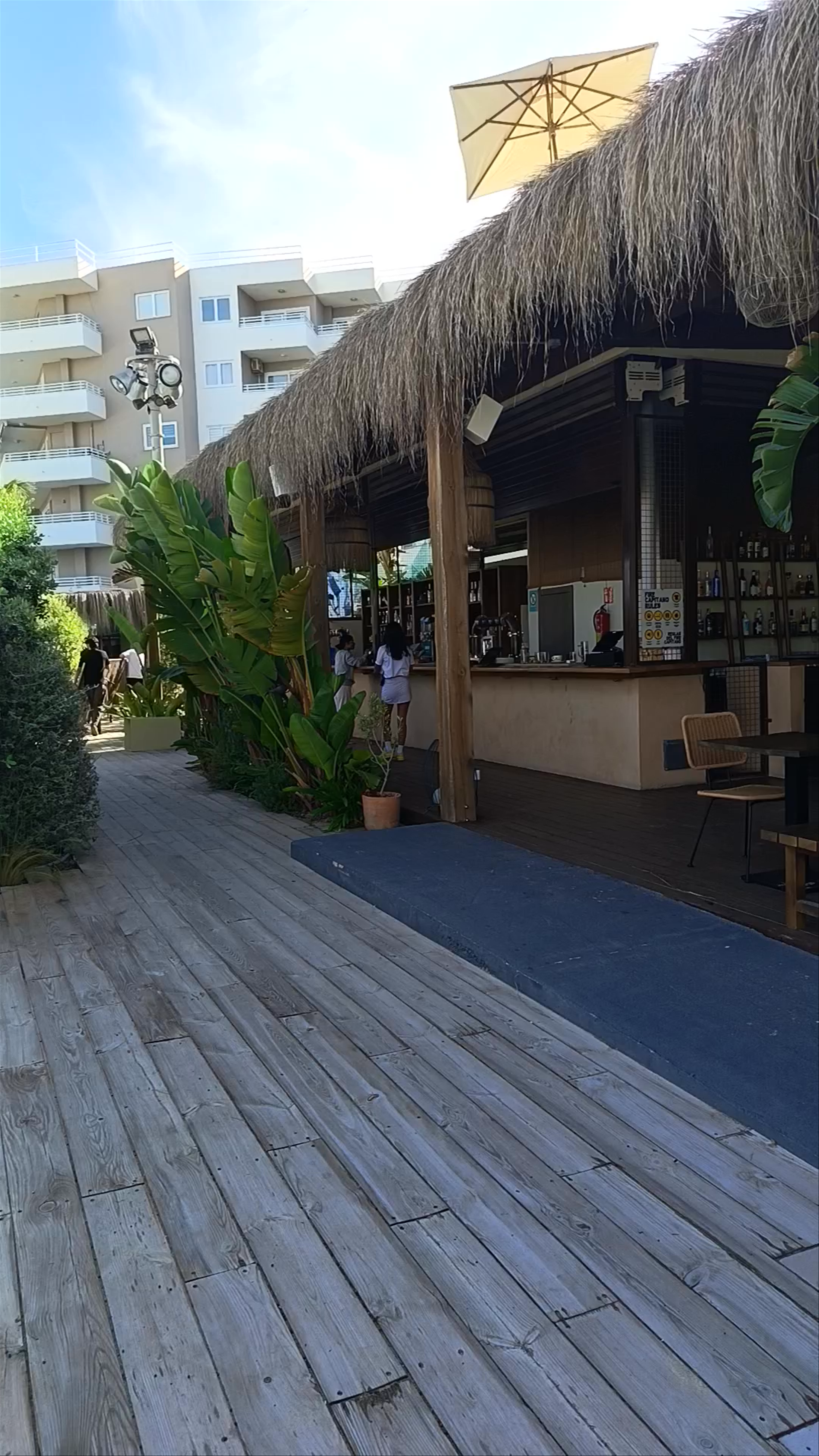 Hadley's Club Mallorca: Beachside Chill and Tropical Vibes in Magaluf
