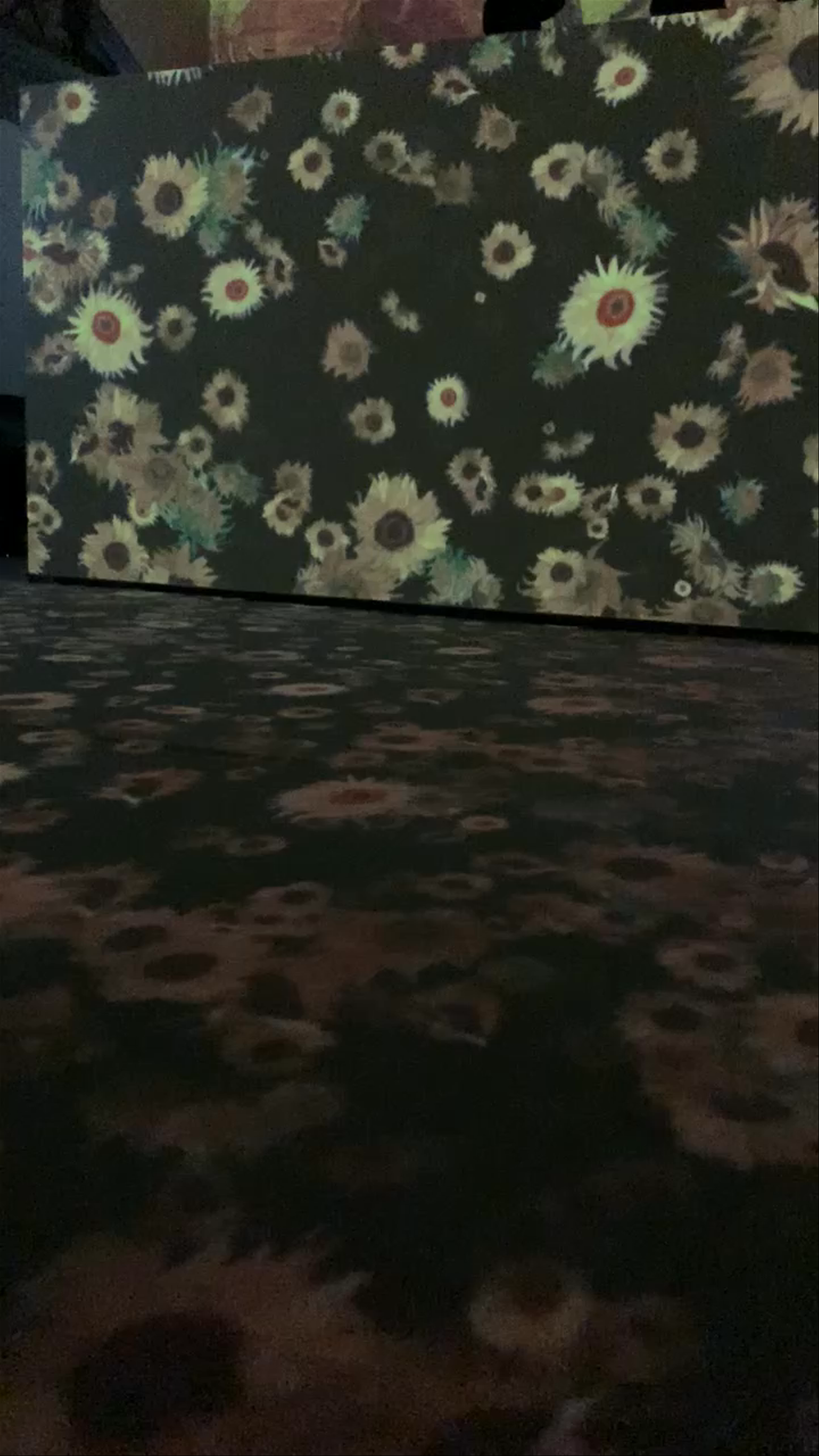 Cattedrale dell'Immagine - Inside Van Gogh