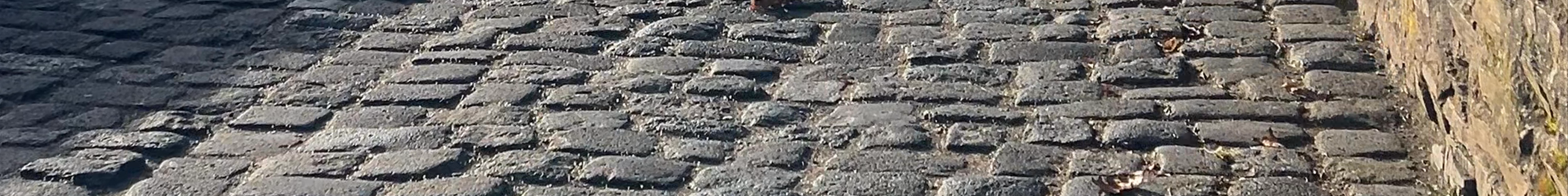 Tours & experiences in Koblenz