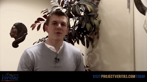 Video Thumbnail Loop