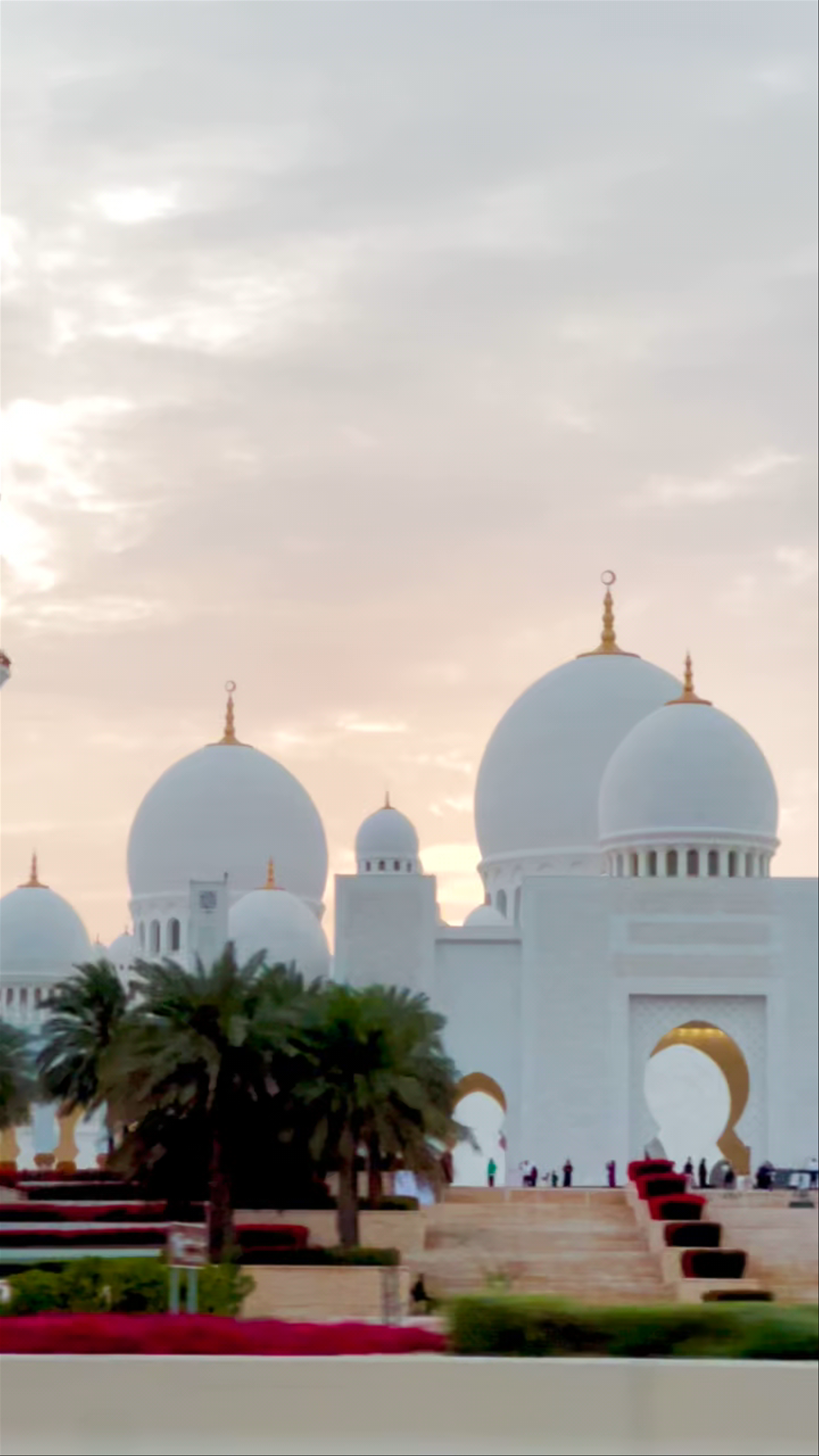 Mosque Of Sheikh Zayed Bin Sultan the First - شارع - 9 - Abu Dhabi - United Arab Emirates