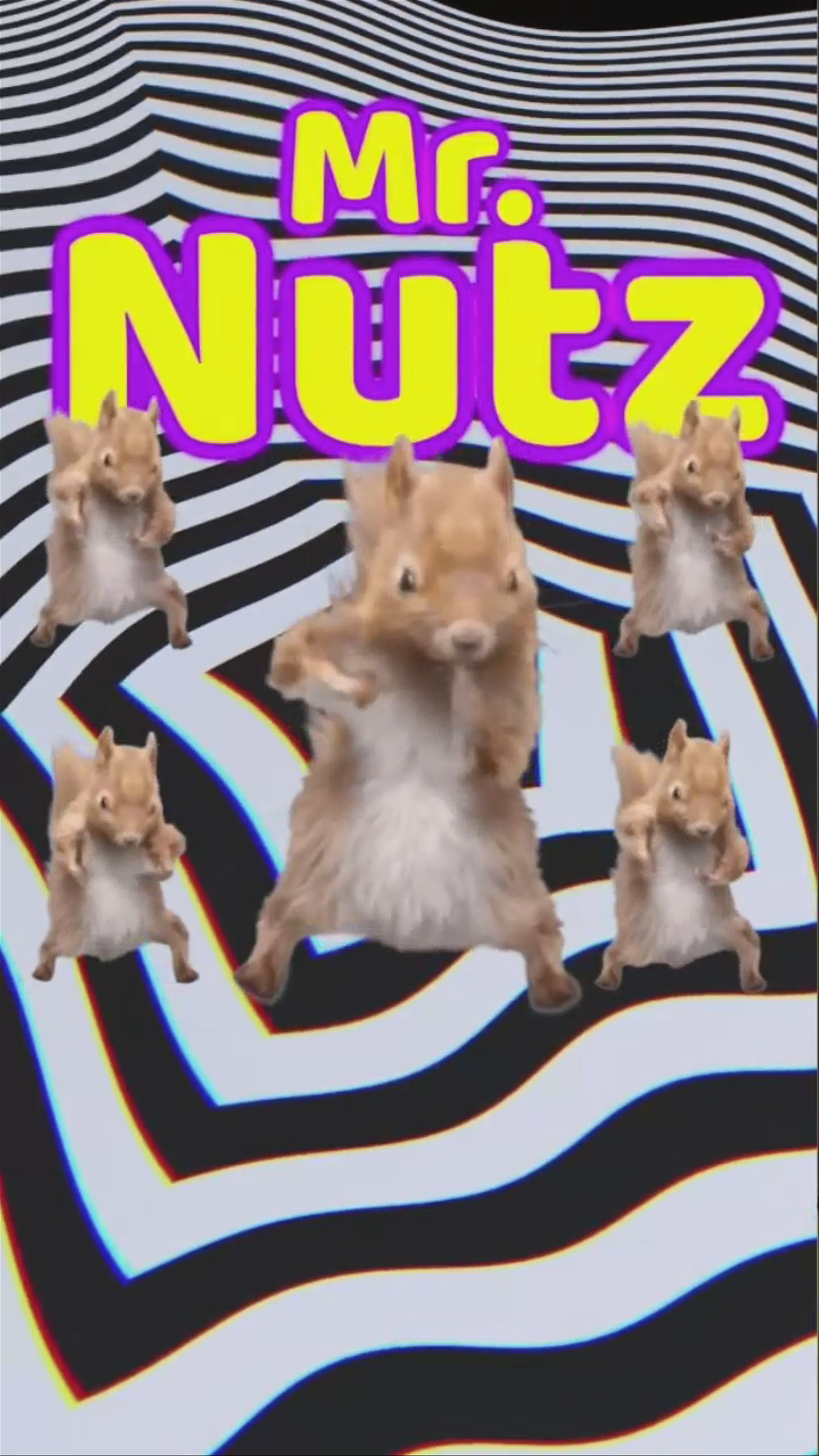 Mr. Nutz goes super-mega & takes over Dr. Hype’s show. 🔥🔥🐿️🐿️