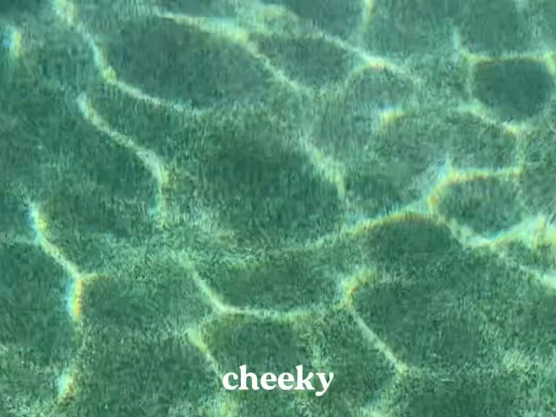 Swimwear/Lifestyle Content
