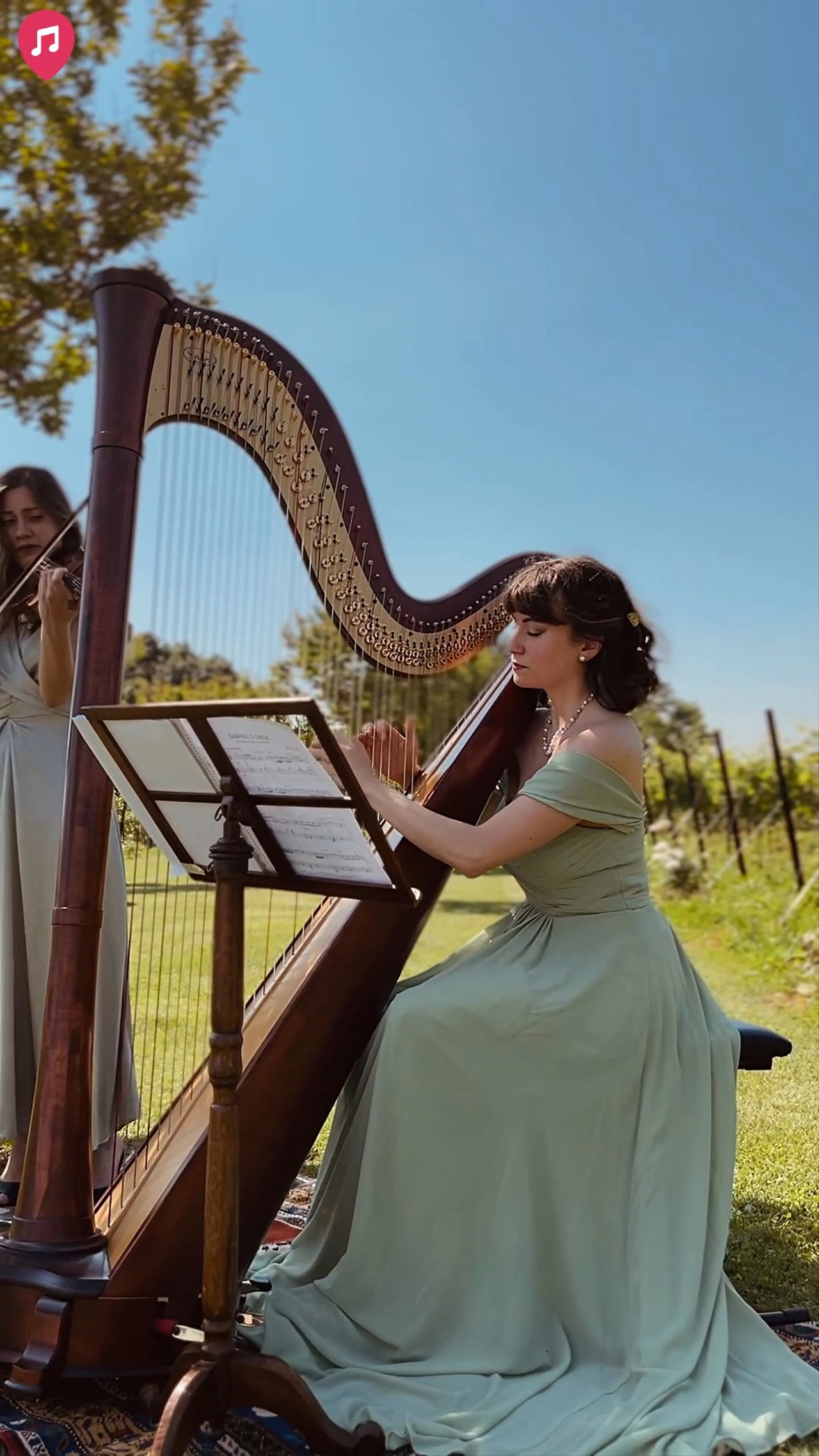 Aurora Harp - Violin & Harp Duo Live Showreel 2026 - video 2