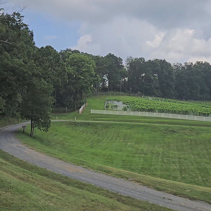 Delaplane Cellars - Wineries Near Me - Delaplane, Virginia