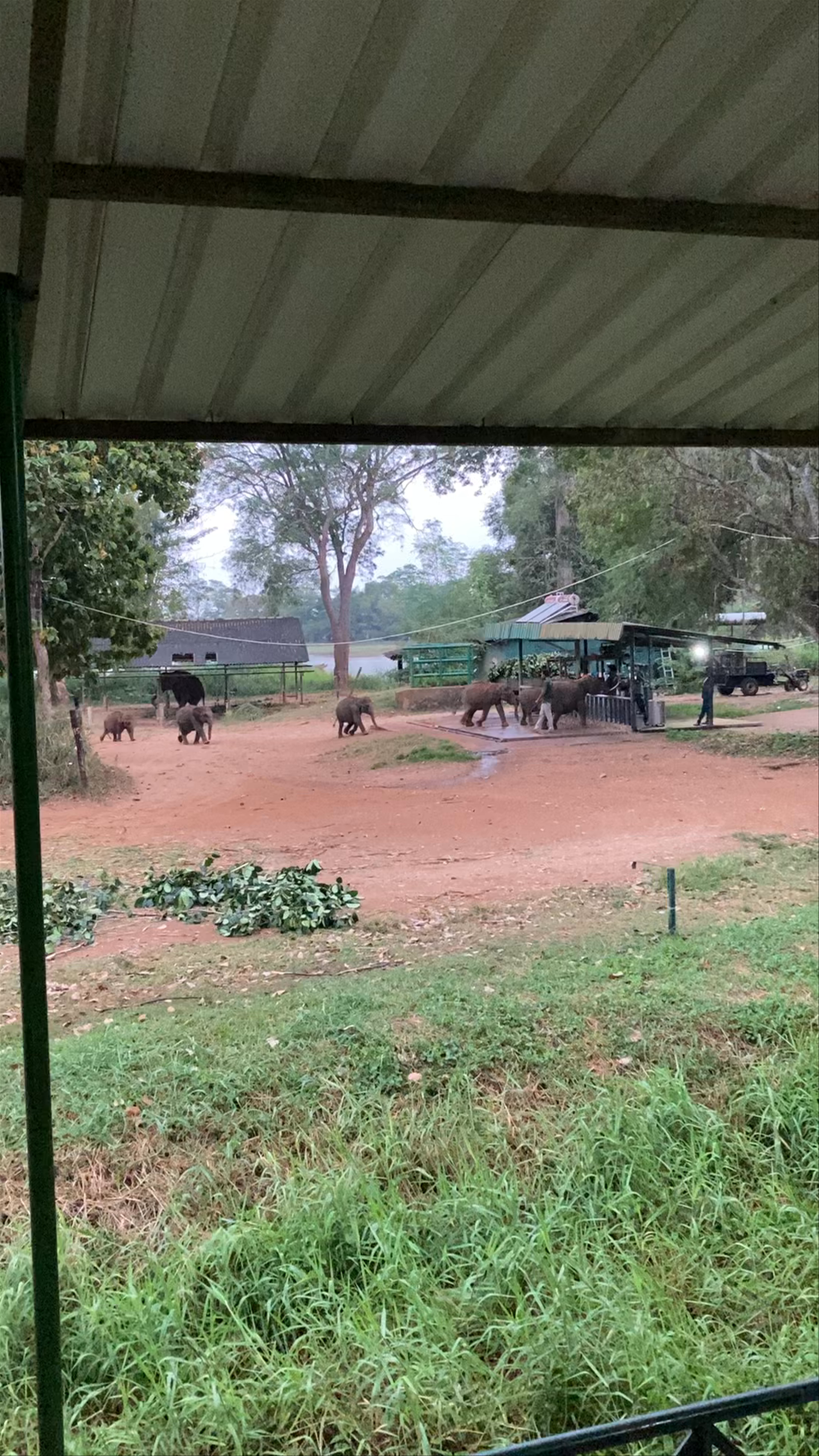 Elephant Transit Home