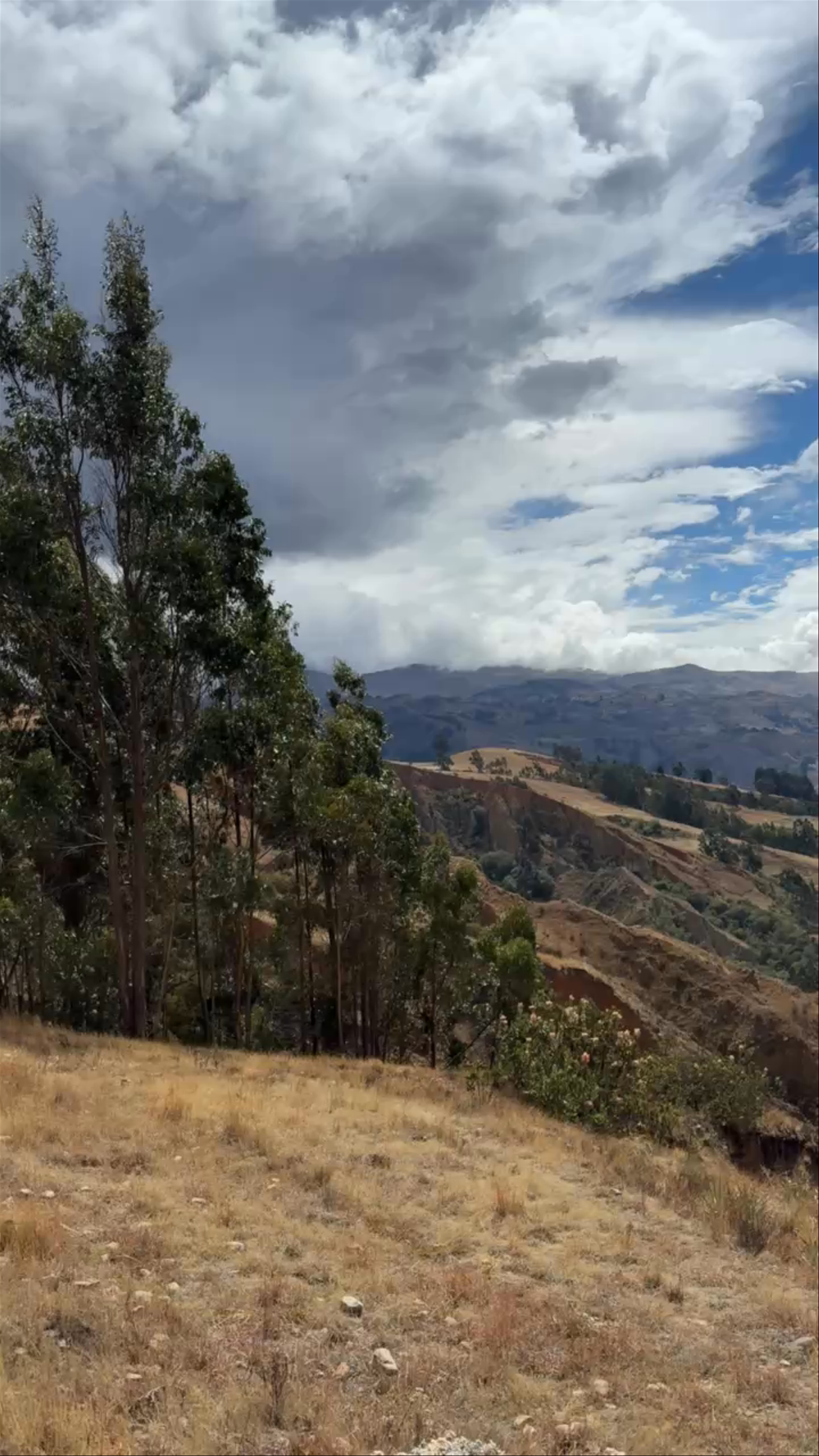 Yacimiento Arqueológico Cruz Punta