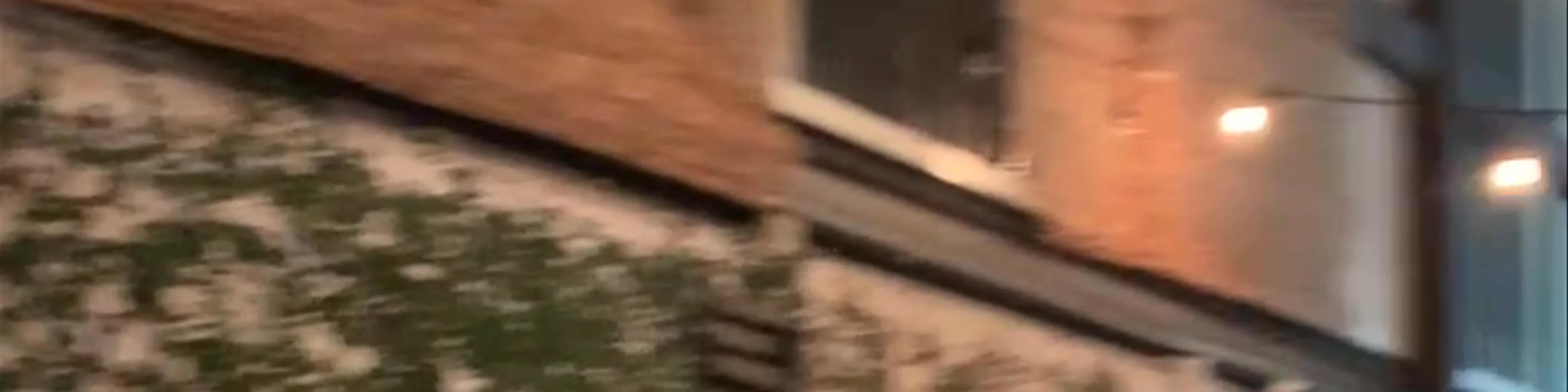 Snappers House