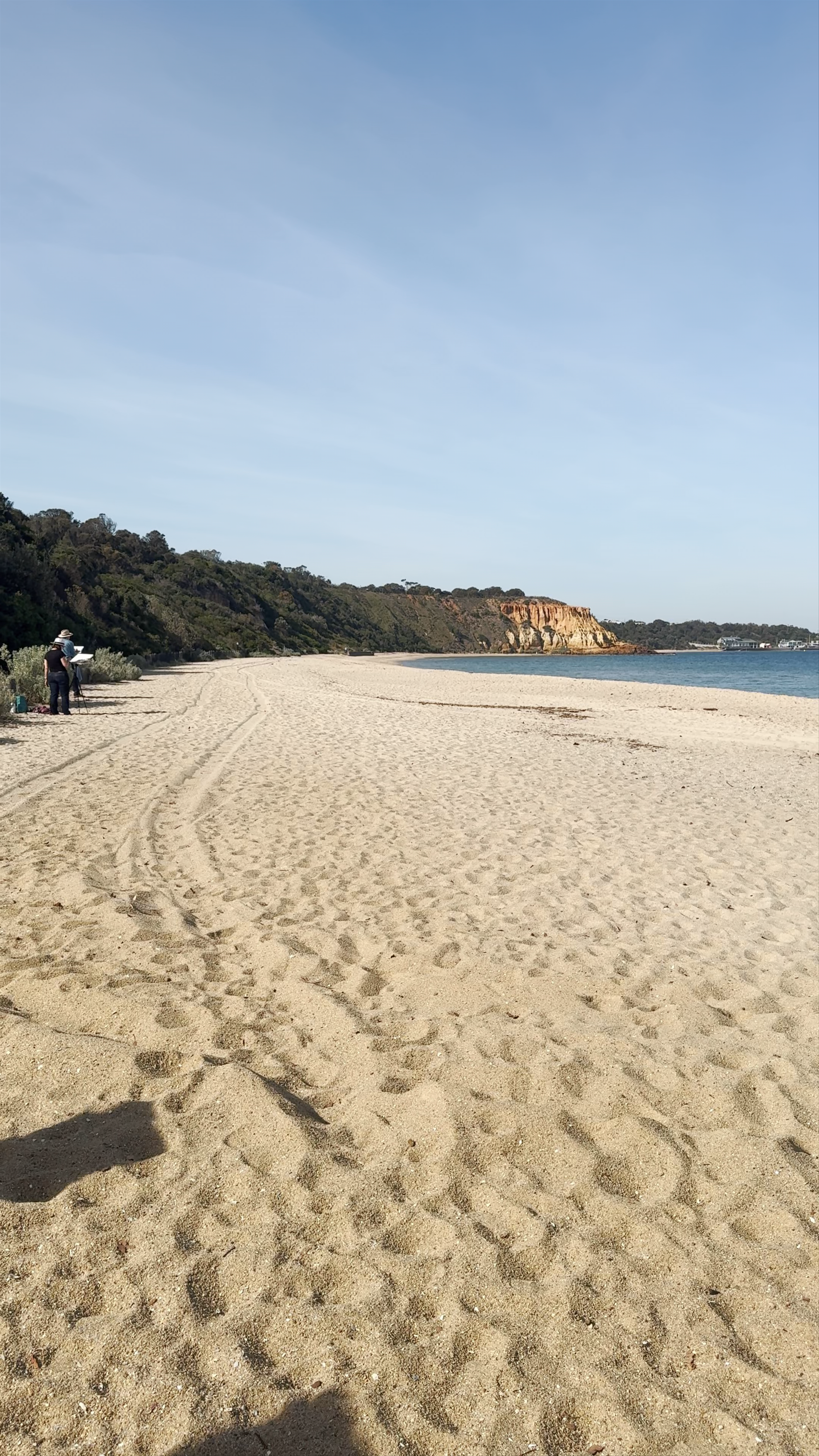 Sandringham Beach