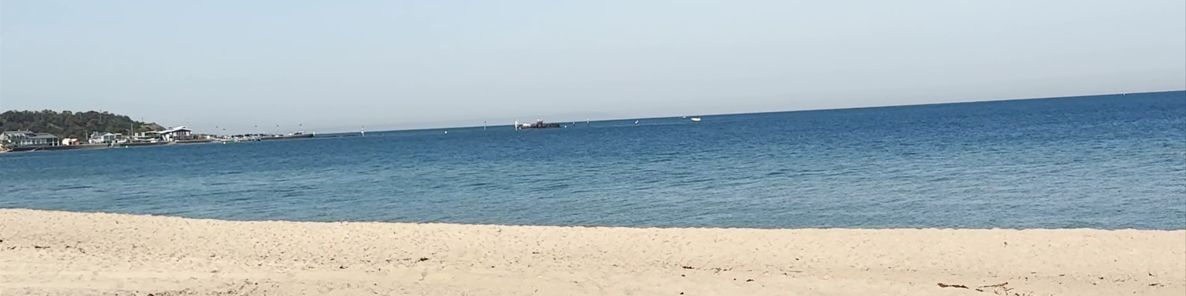 Sandringham Beach
