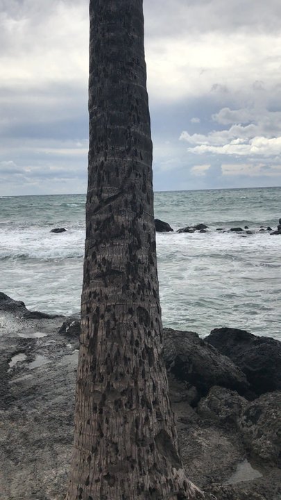 Kawaihae Harbor - Beaches Near Me - Kamuela, Hawaii
