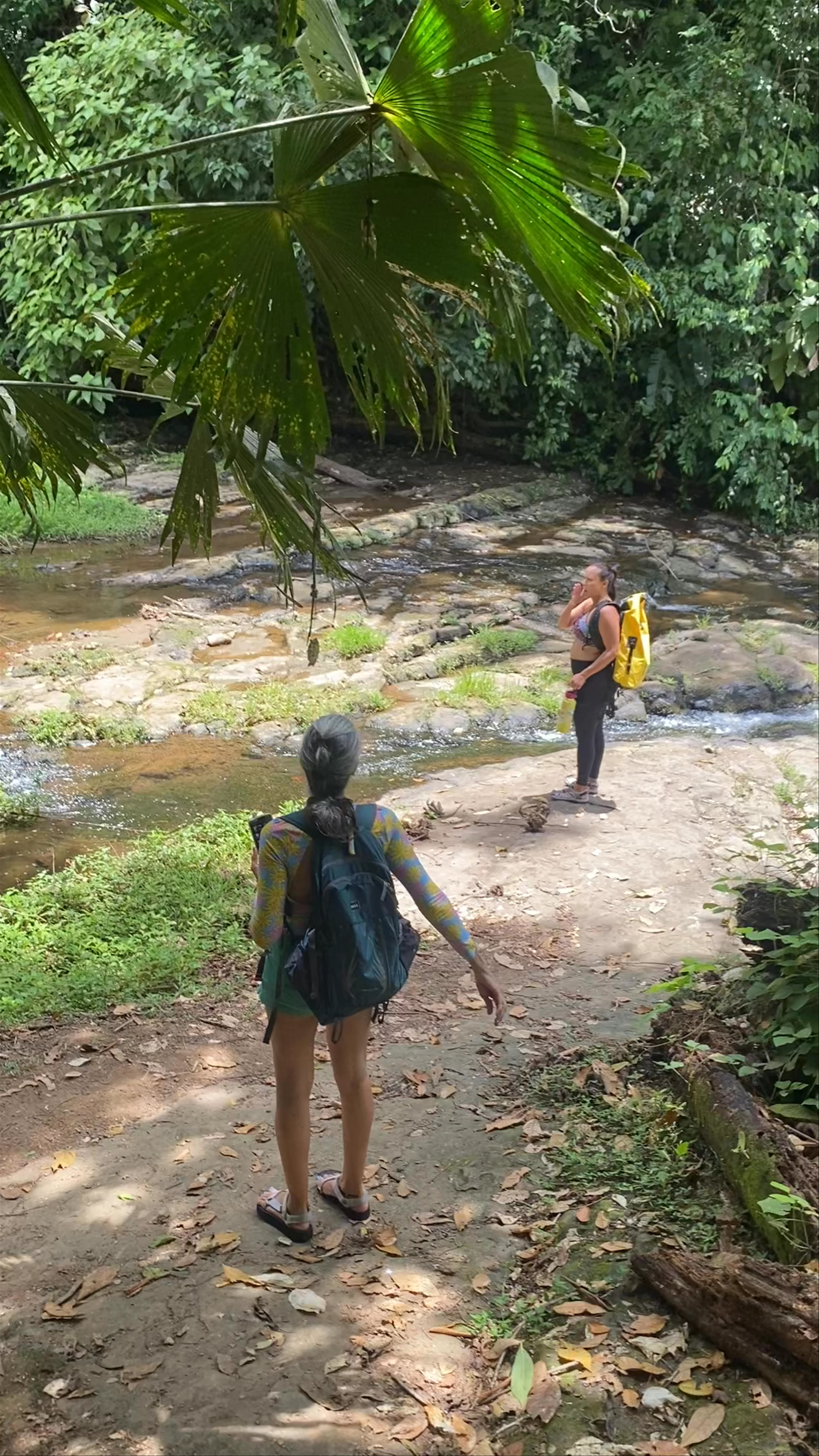 Bri Bri Waterfalls