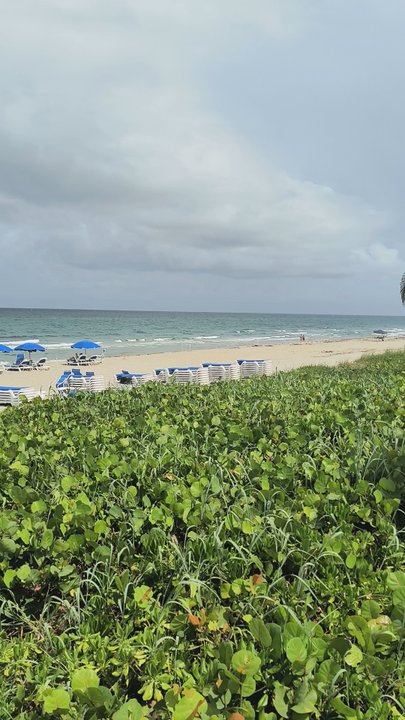 Highland Beach - Public Services & Government Near Me - Highland Beach, Florida