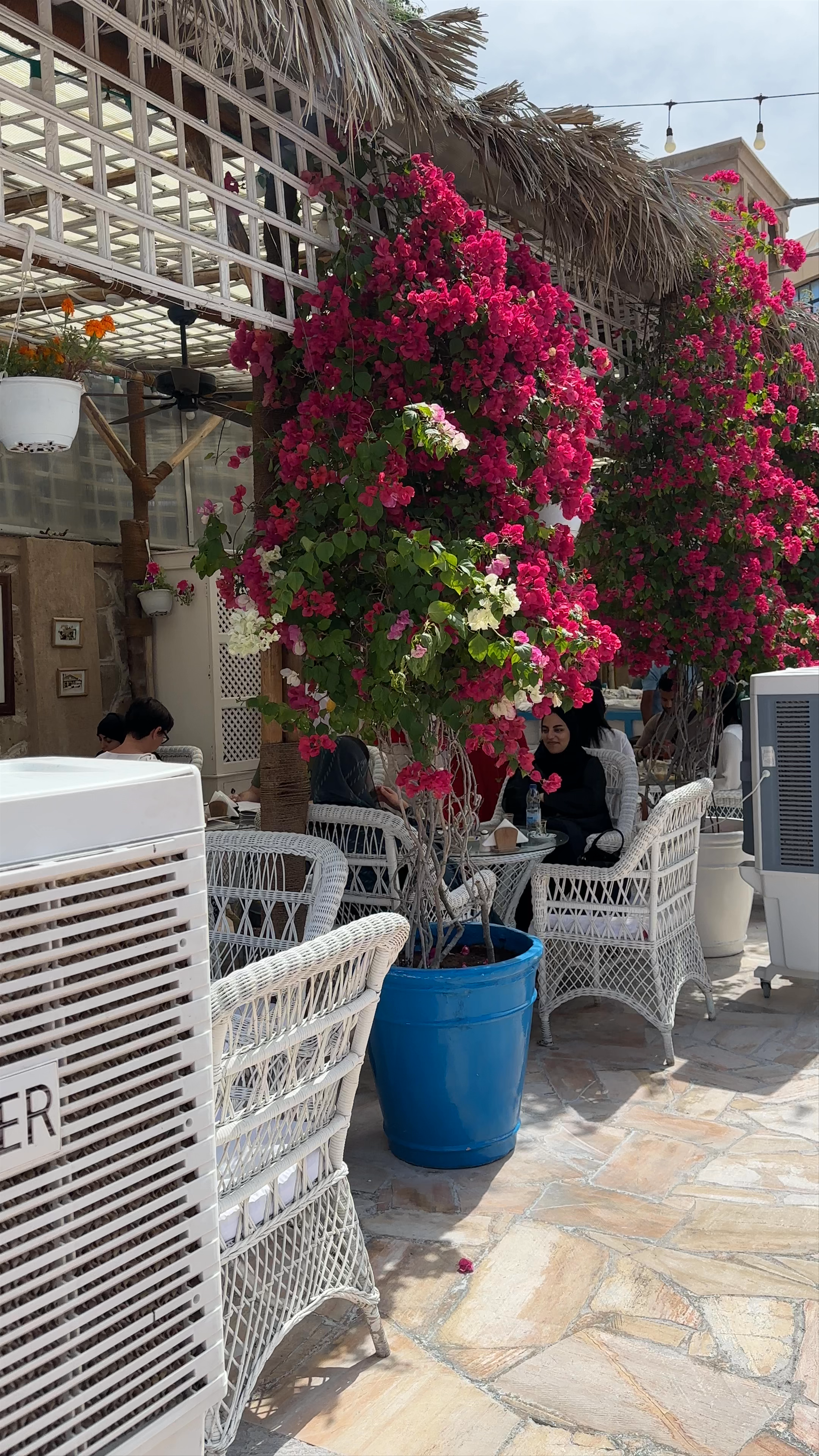 Arabian Tea House Cafe: A Floral Oasis in Historic Dubai