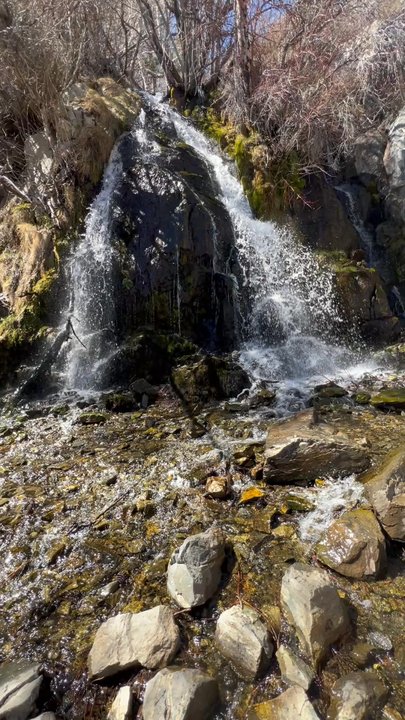 Kings Canyon Waterfall Trail - Spring waterfall (late March 2025) - Hiking Near Me - Carson City, Nevada