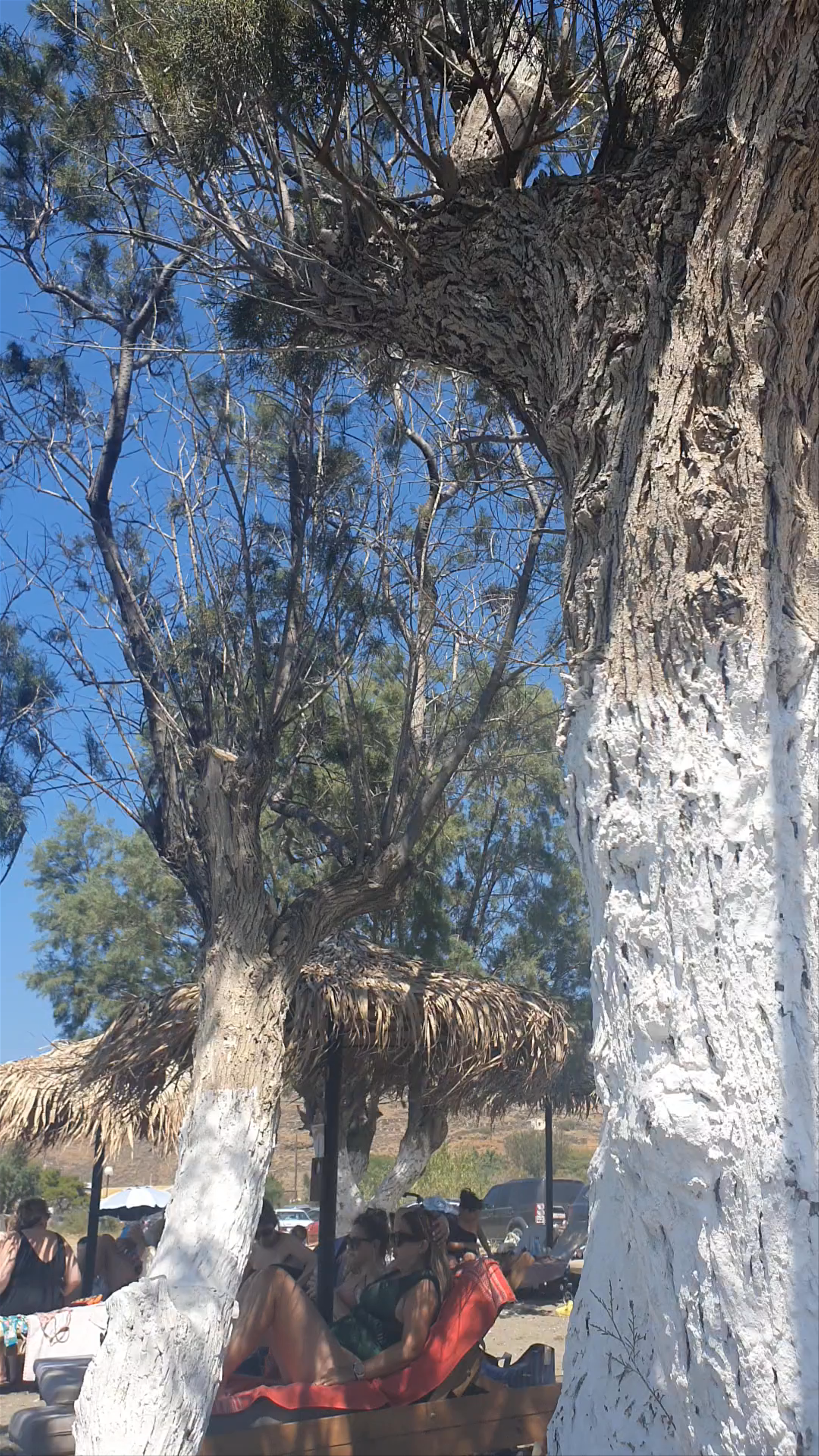 Pountaki Beach Bar Restaurant