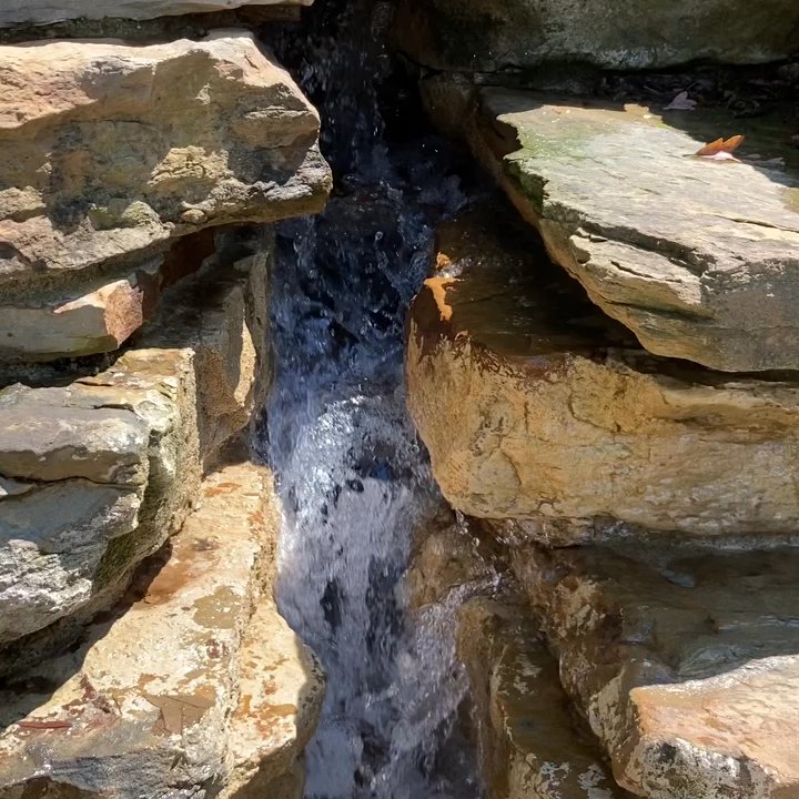 Video thumbnail 5 more videos