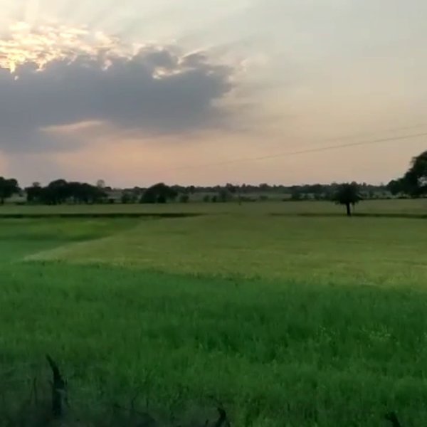 Photo of Hanumaan tekri (guna