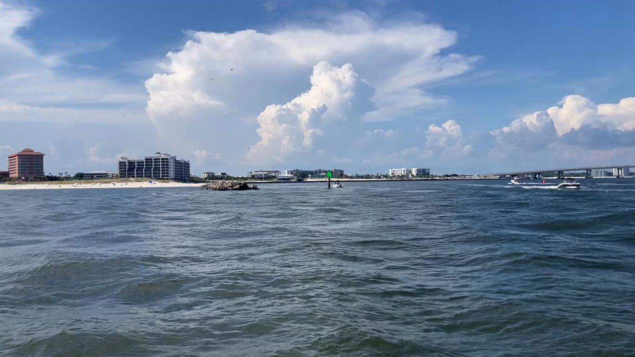 Dolphins Down Under - Boat Charters Near Me - Orange Beach, Alabama