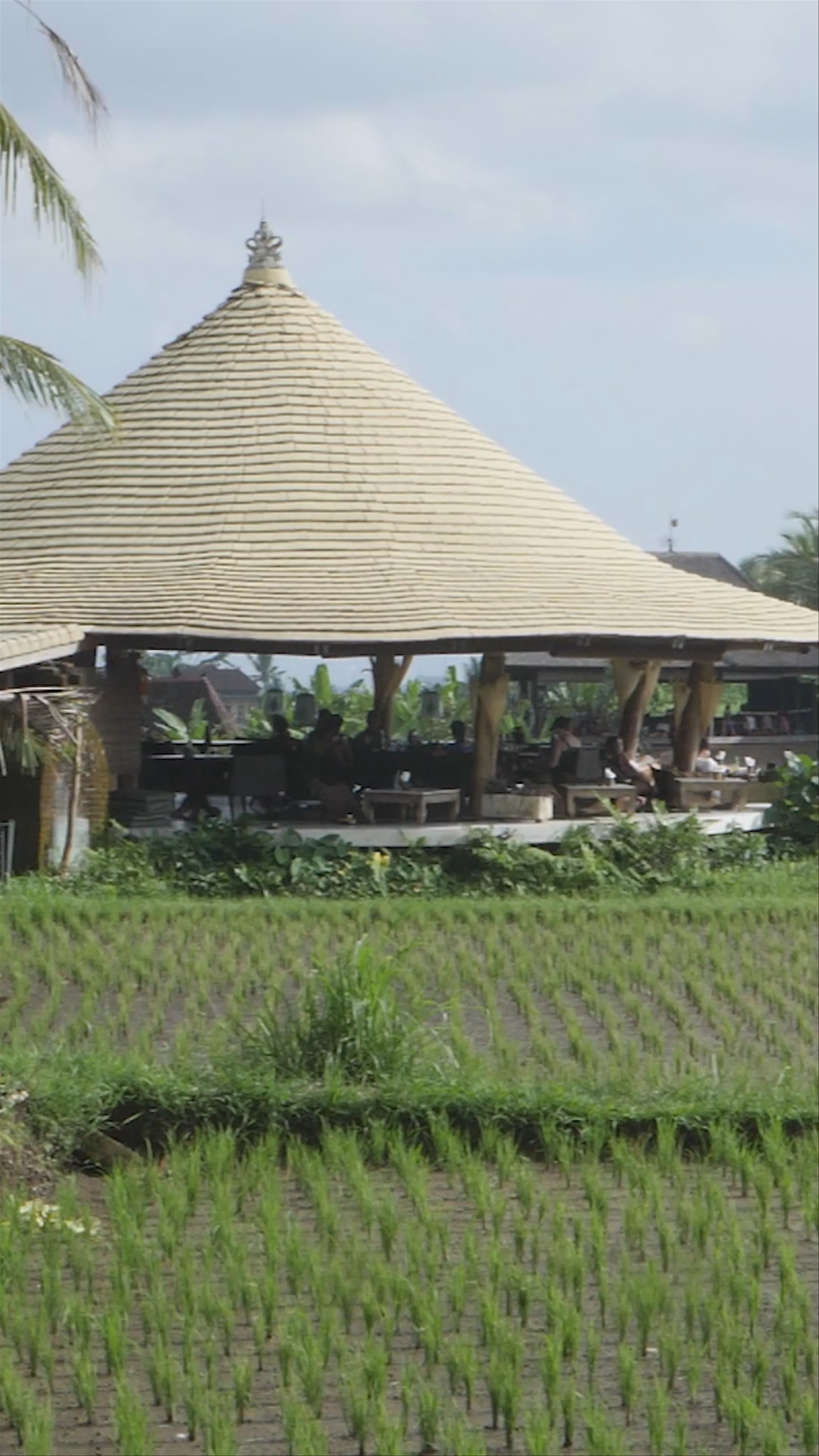 Cafe Pomegranate: Serene Rice Field Dining in Ubud, Bali