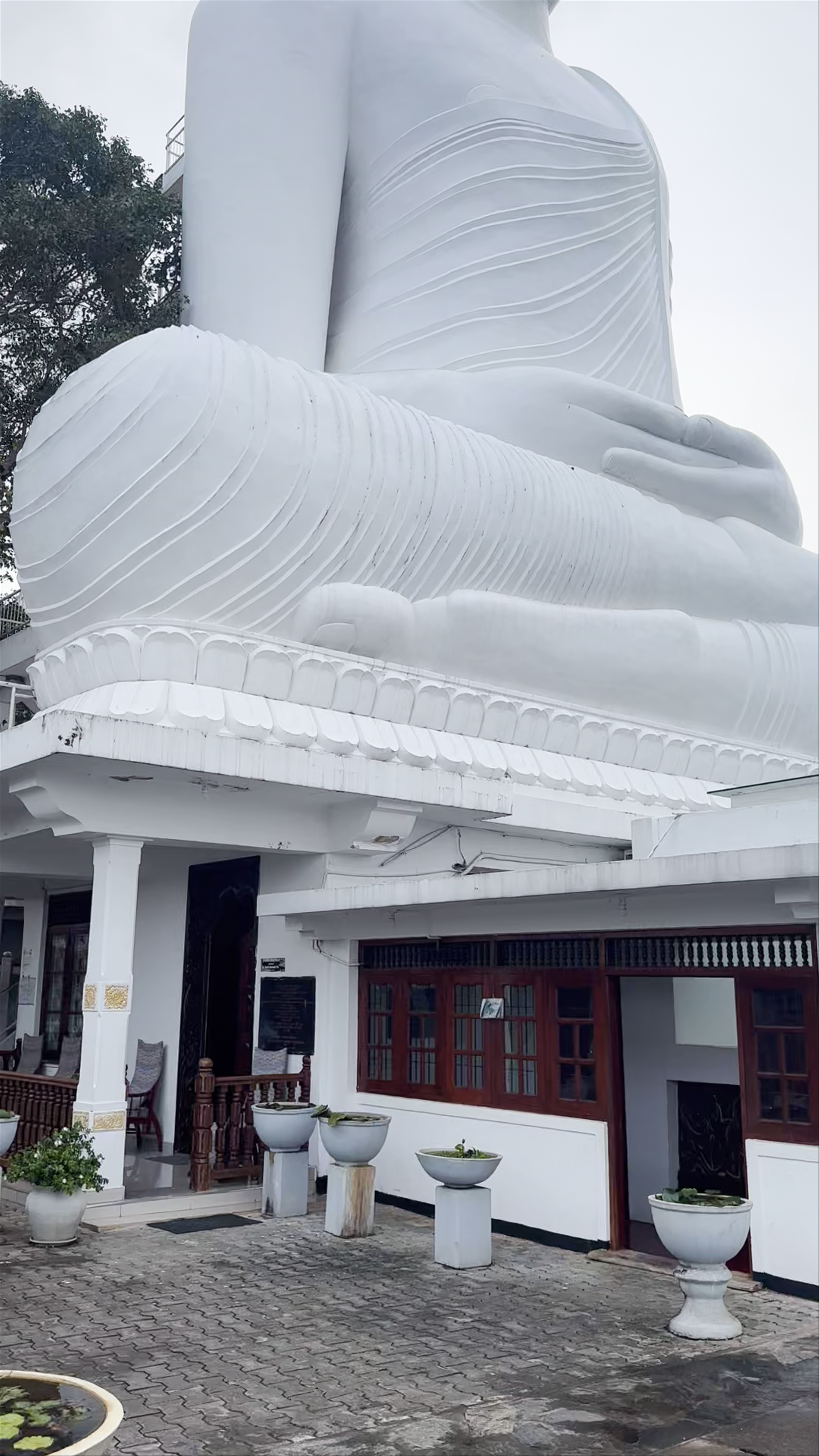 Sri Maha Bodhi Viharaya