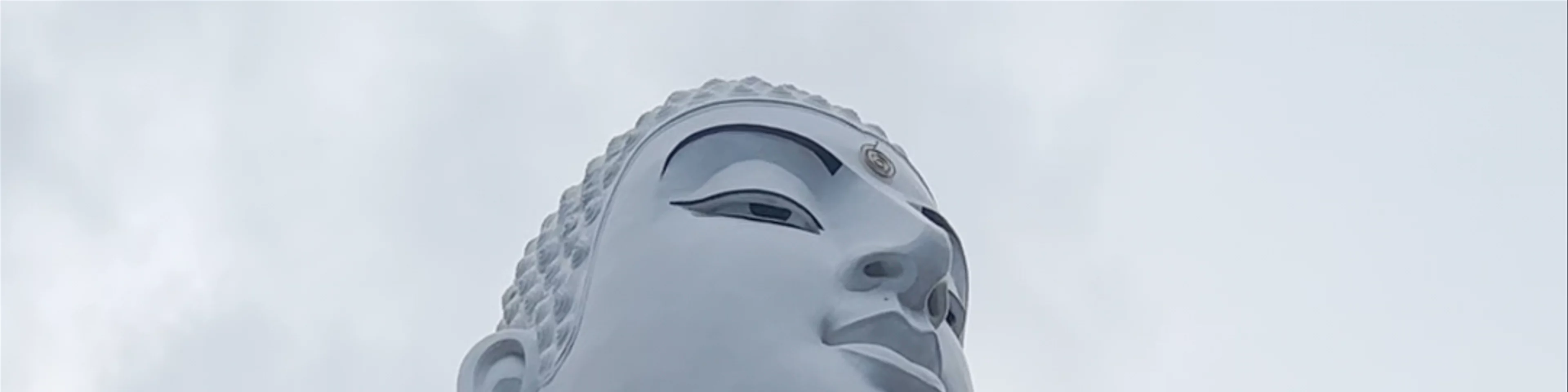Sri Maha Bodhi Viharaya