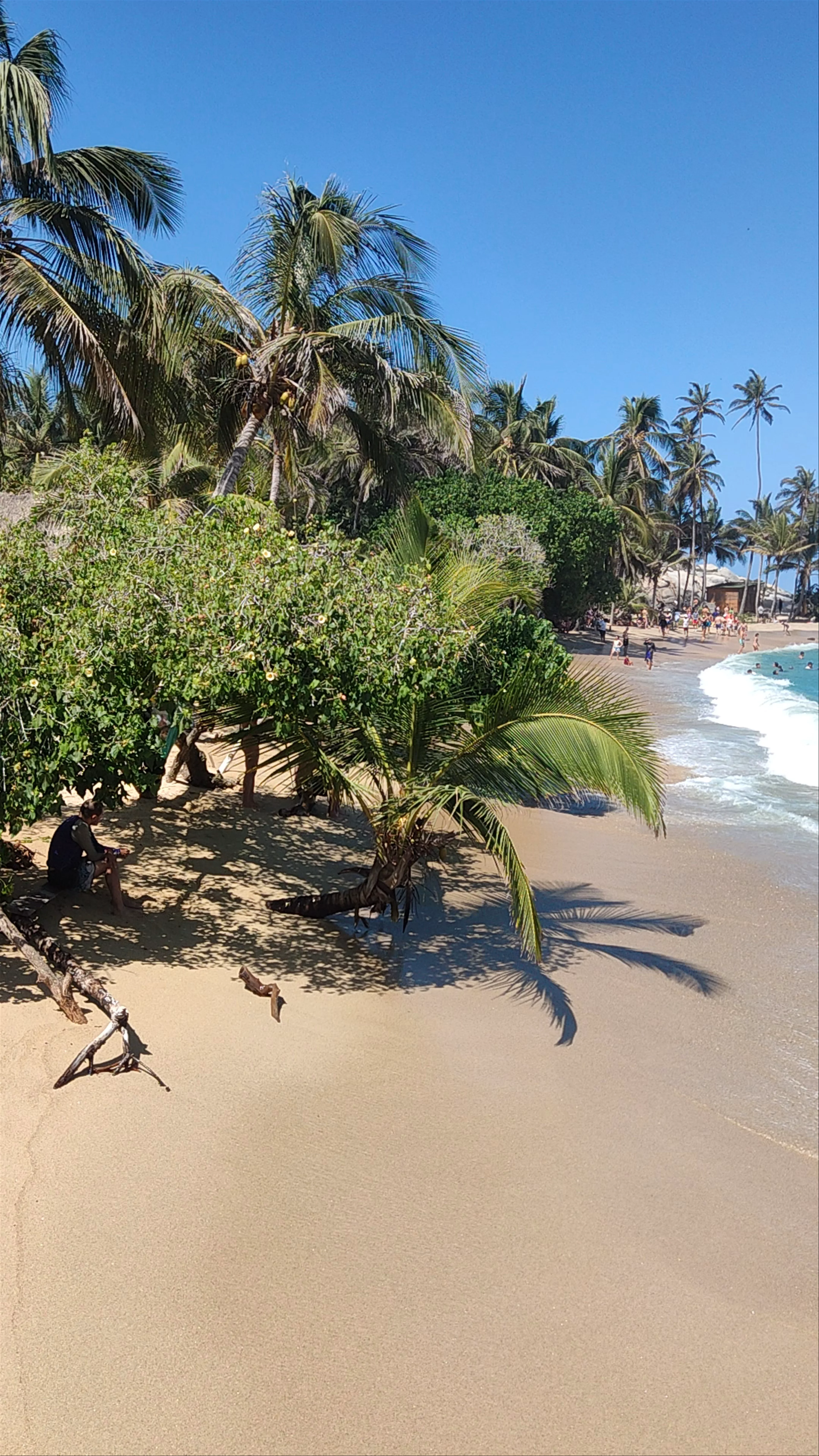 Playa Del Cabo
