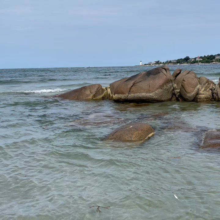 Wingaersheek Beach - Low tide and shallow - Beaches Near Me - Gloucester, Massachusetts