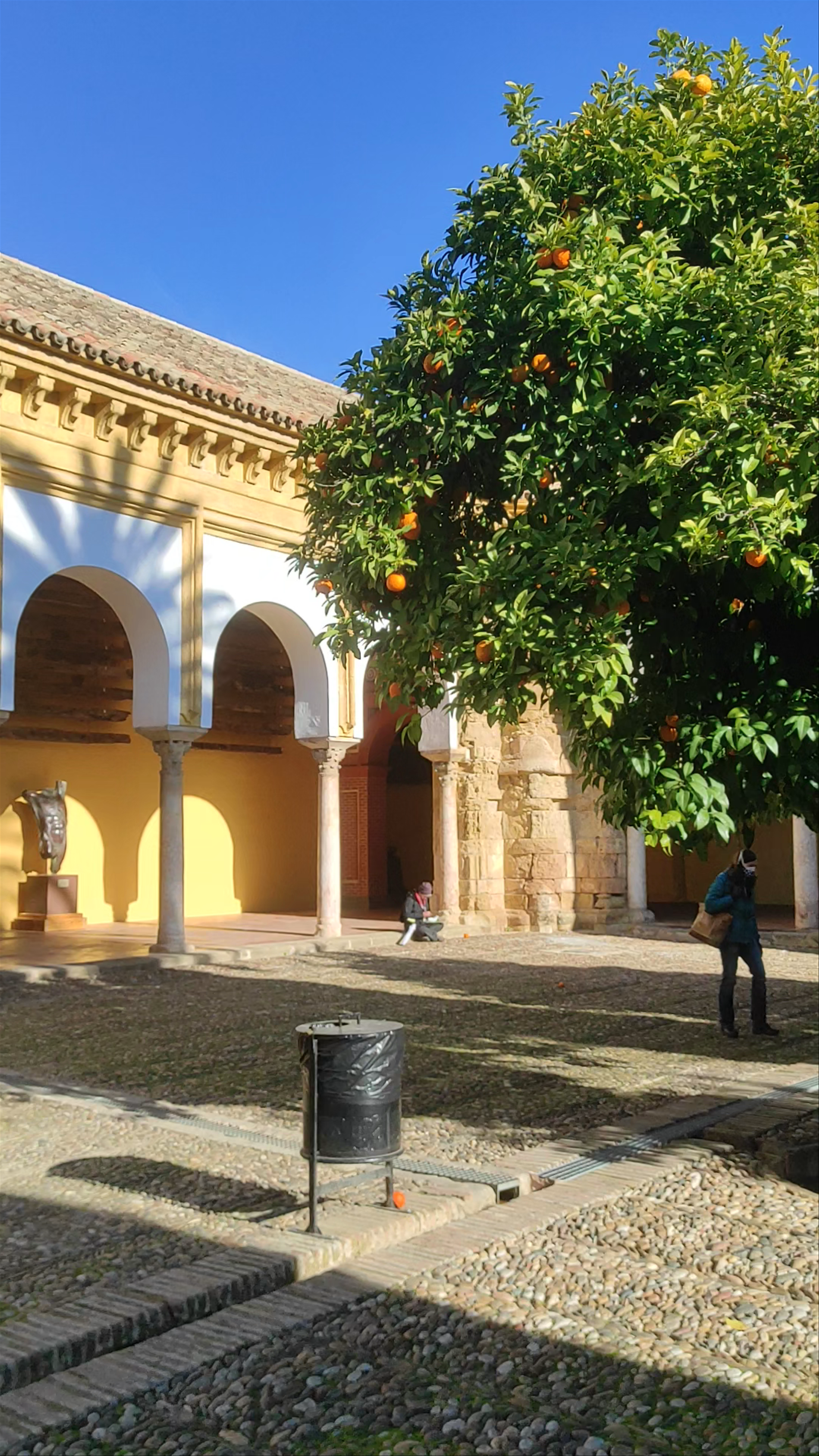 Patio de los Naranjos: Serene Orange Grove Courtyard in Córdoba, Spain
