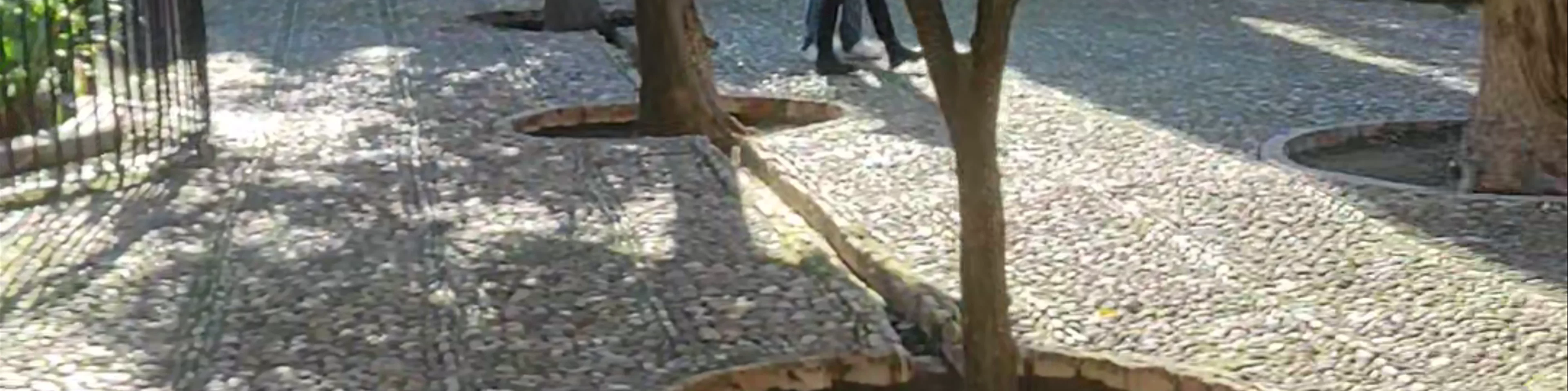 Patio de los Naranjos