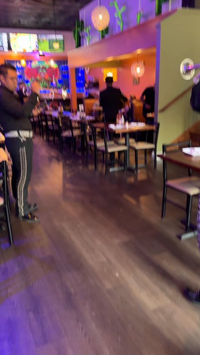El Patio - Elgin - Mariachi playing baby shark - Bars Near Me - Elgin, Illinois