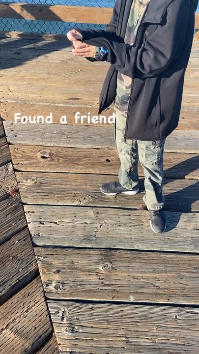 Port View Park - He was keeping my company while I was crabbing - Parks Near Me - Oakland, California