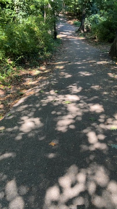 Captain Tilly Park - Noonday walk through the park! - Parks Near Me - Jamaica, New York