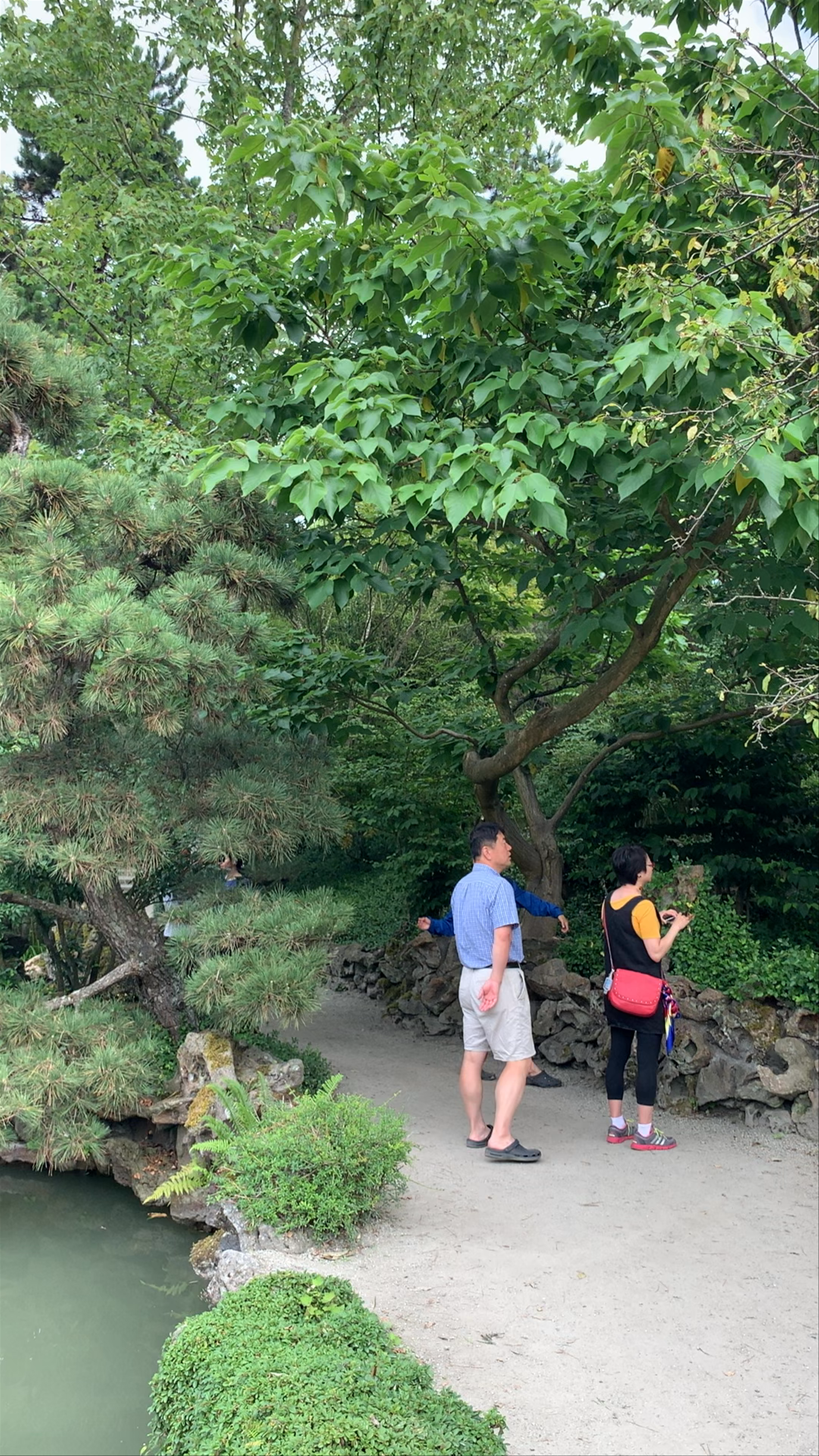 Dr. Sun Yat-Sen Classical Chinese Garden