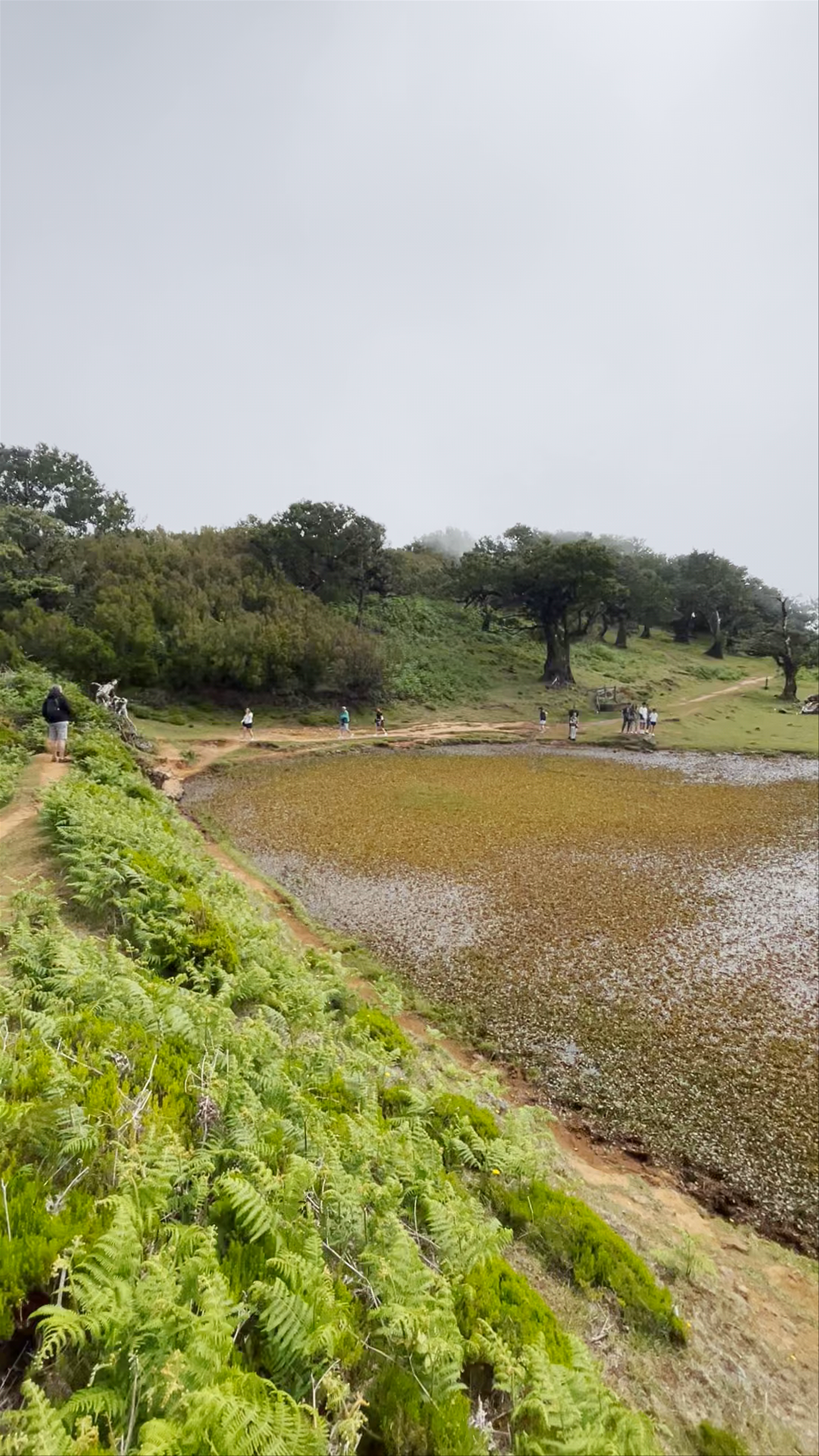 Lagoa de Fanal