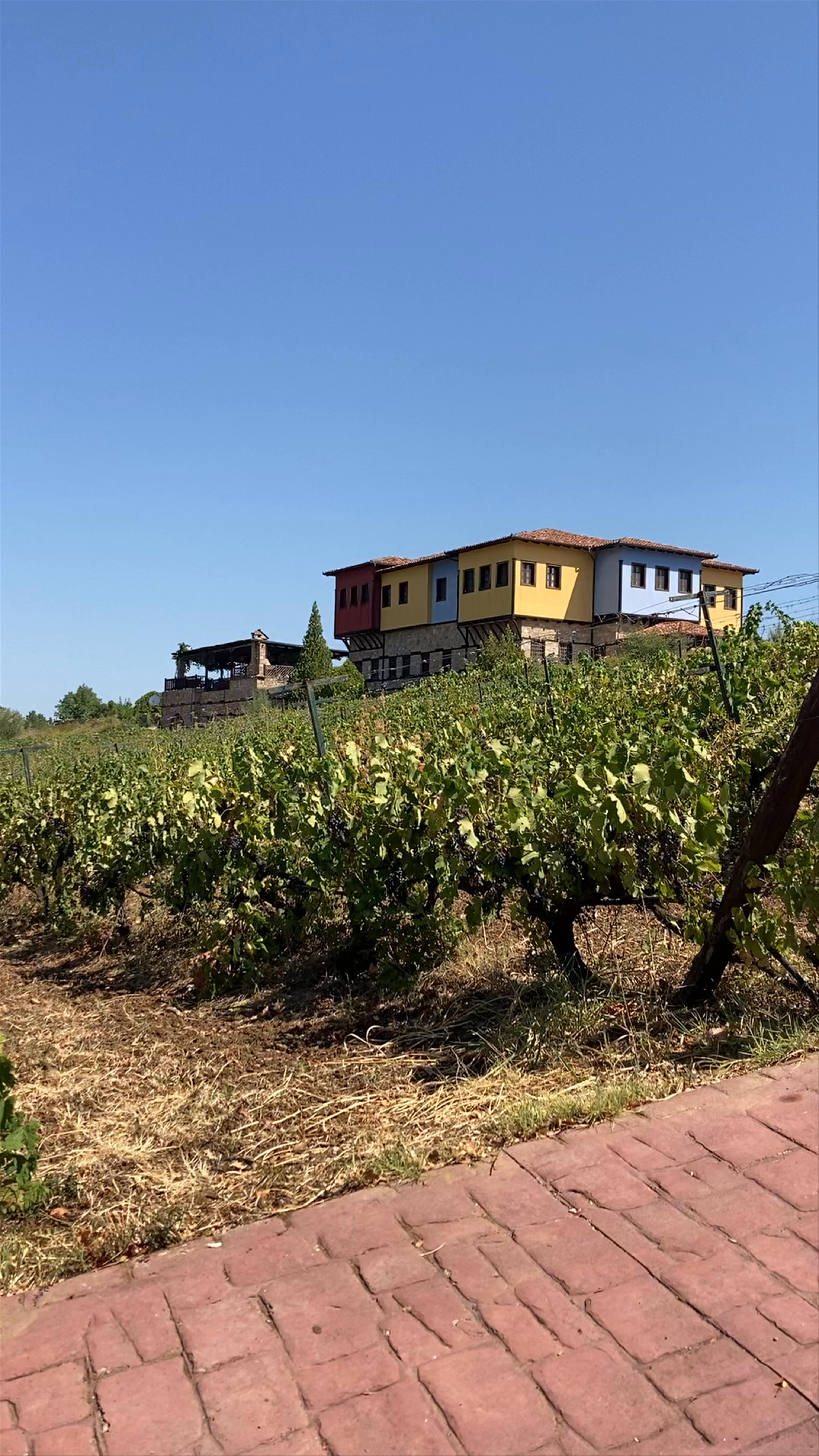 Estate Kalaitzis Vineyard Escape in Vergina, Greece