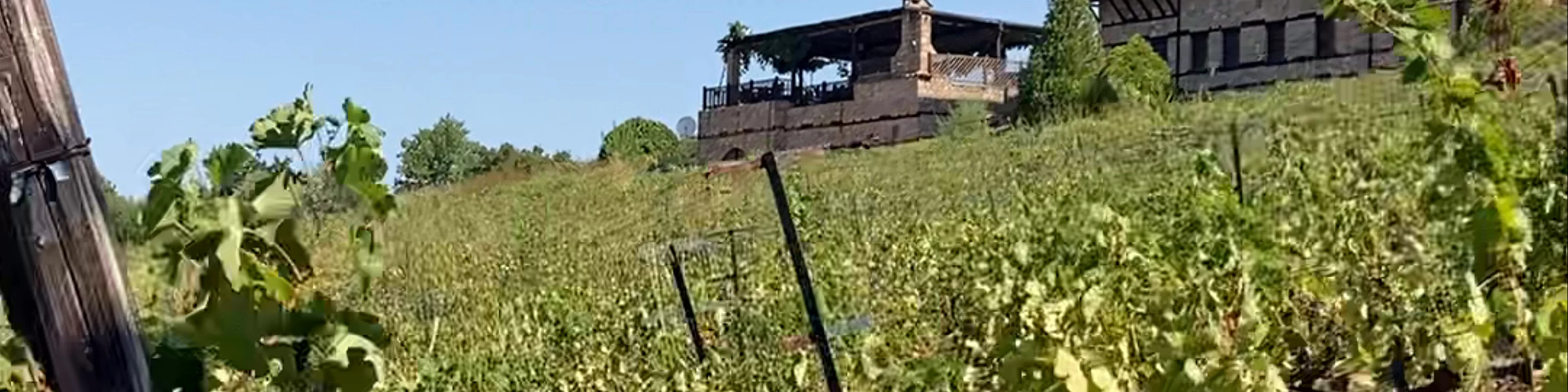 Estate Kalaitzis
