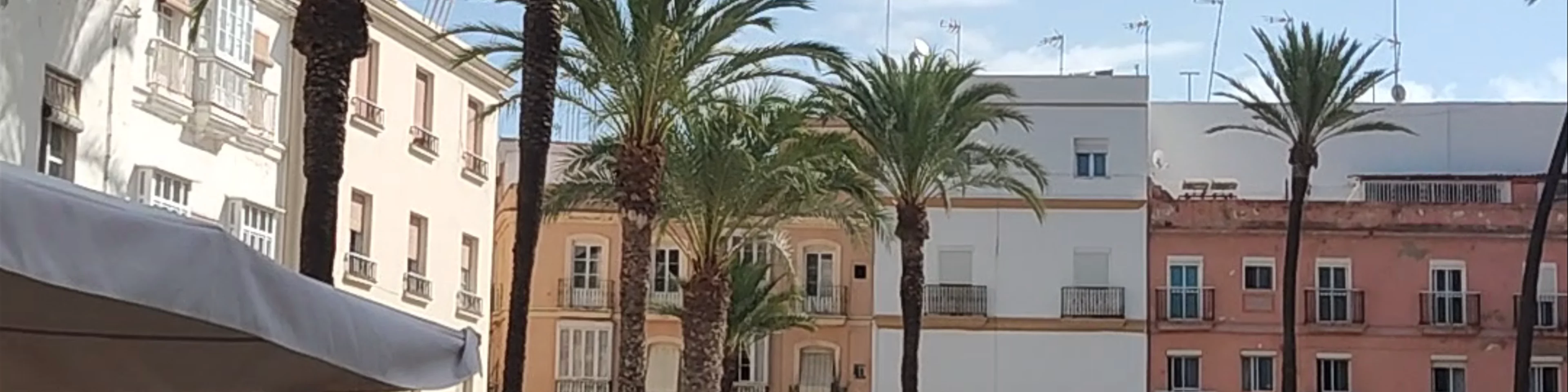 Catedral de Cádiz