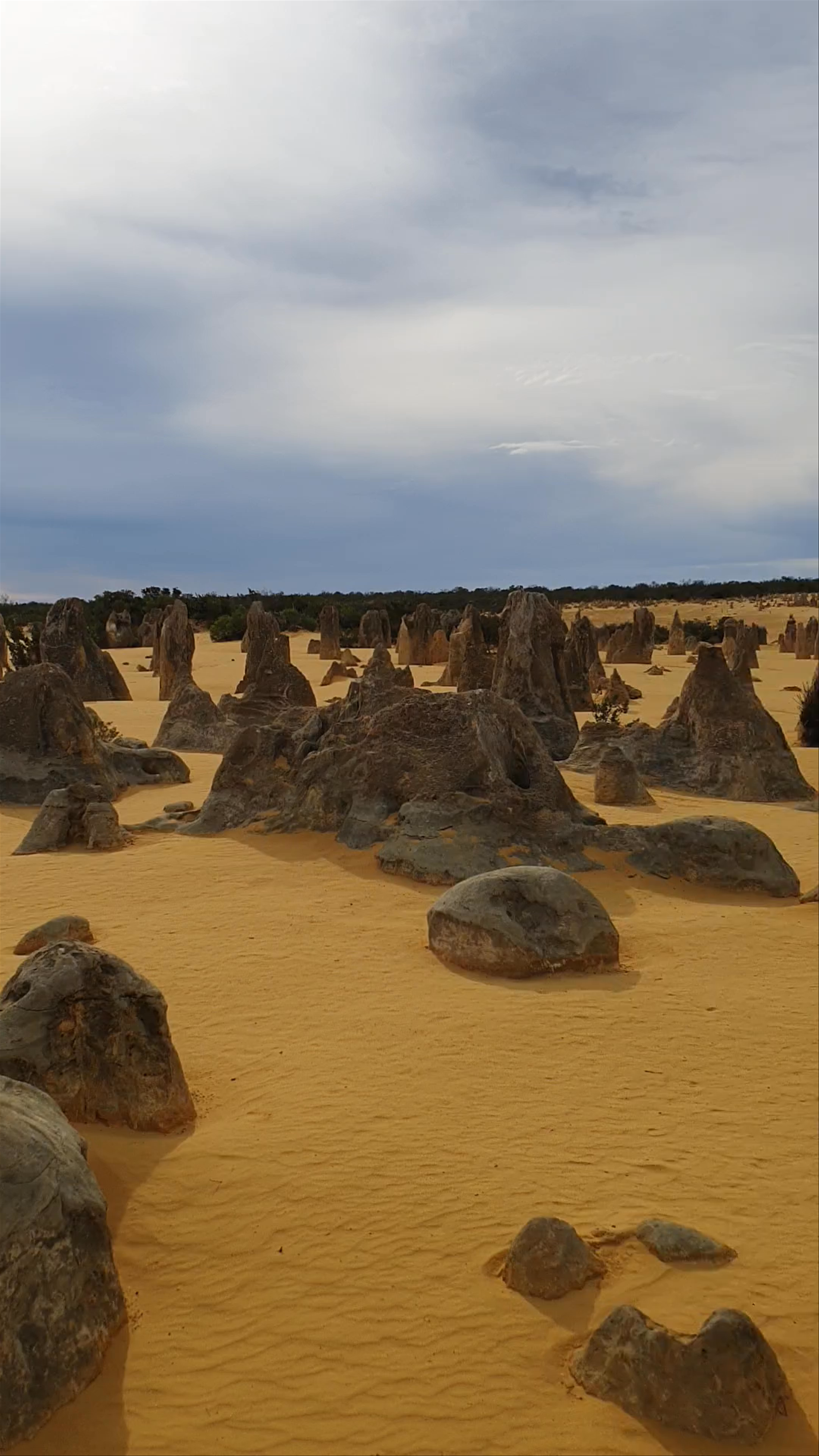 Pinnacles Desert Discovery Centre