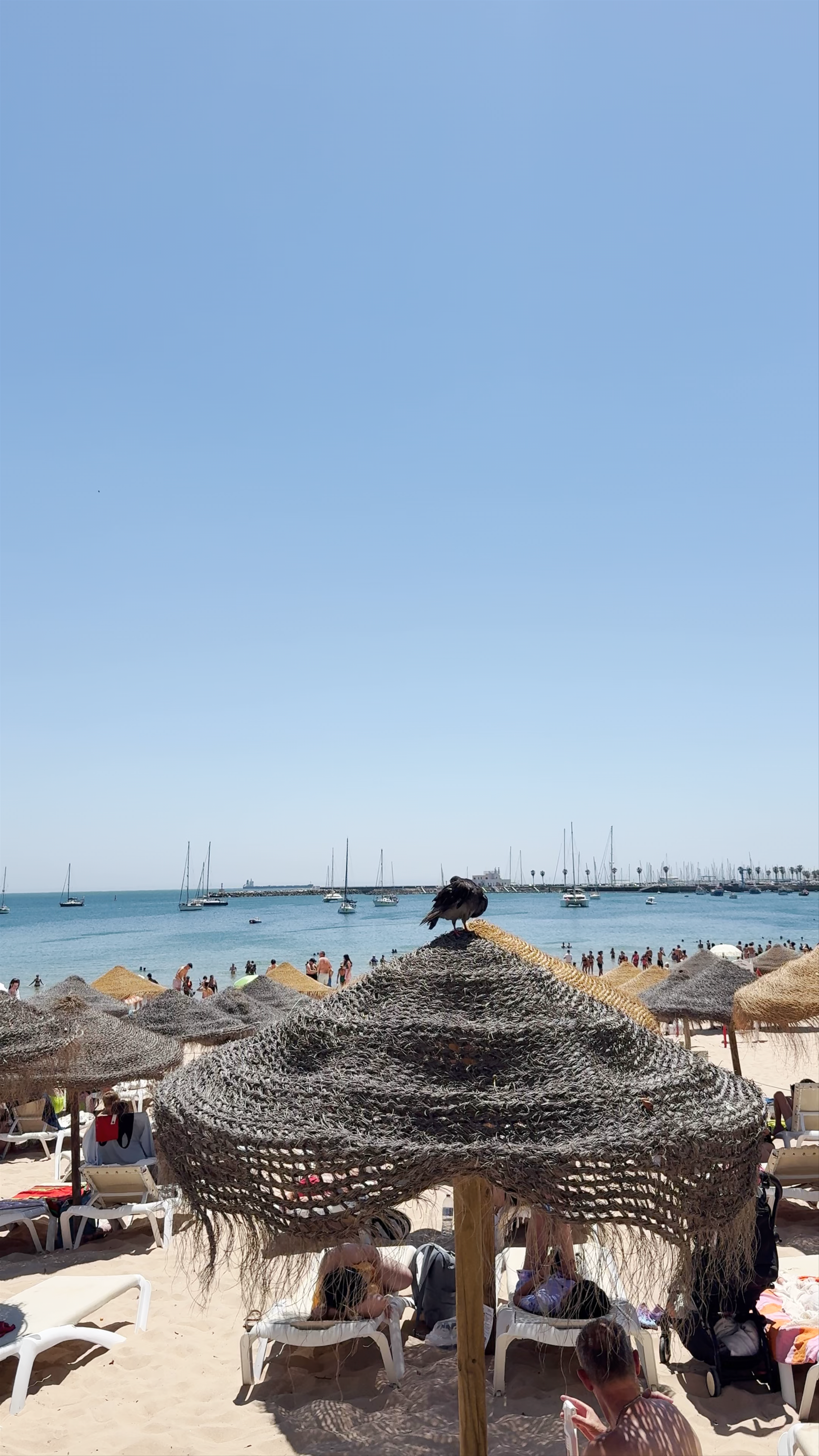 Praia da rainha