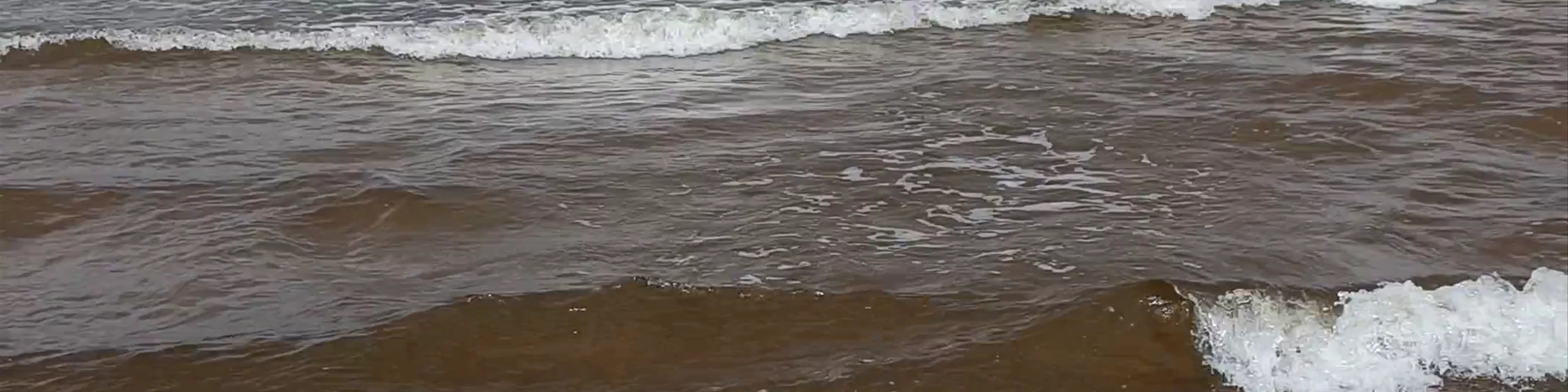 Mangaļsala Beach