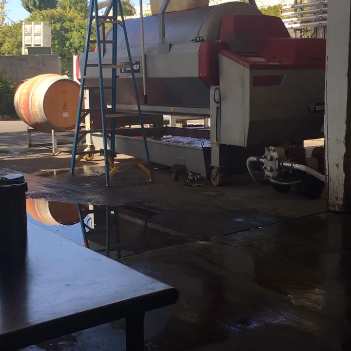 Tablas Creek Vineyard - We got to see the production process in full swing! - Wineries Near Me - Paso Robles, California