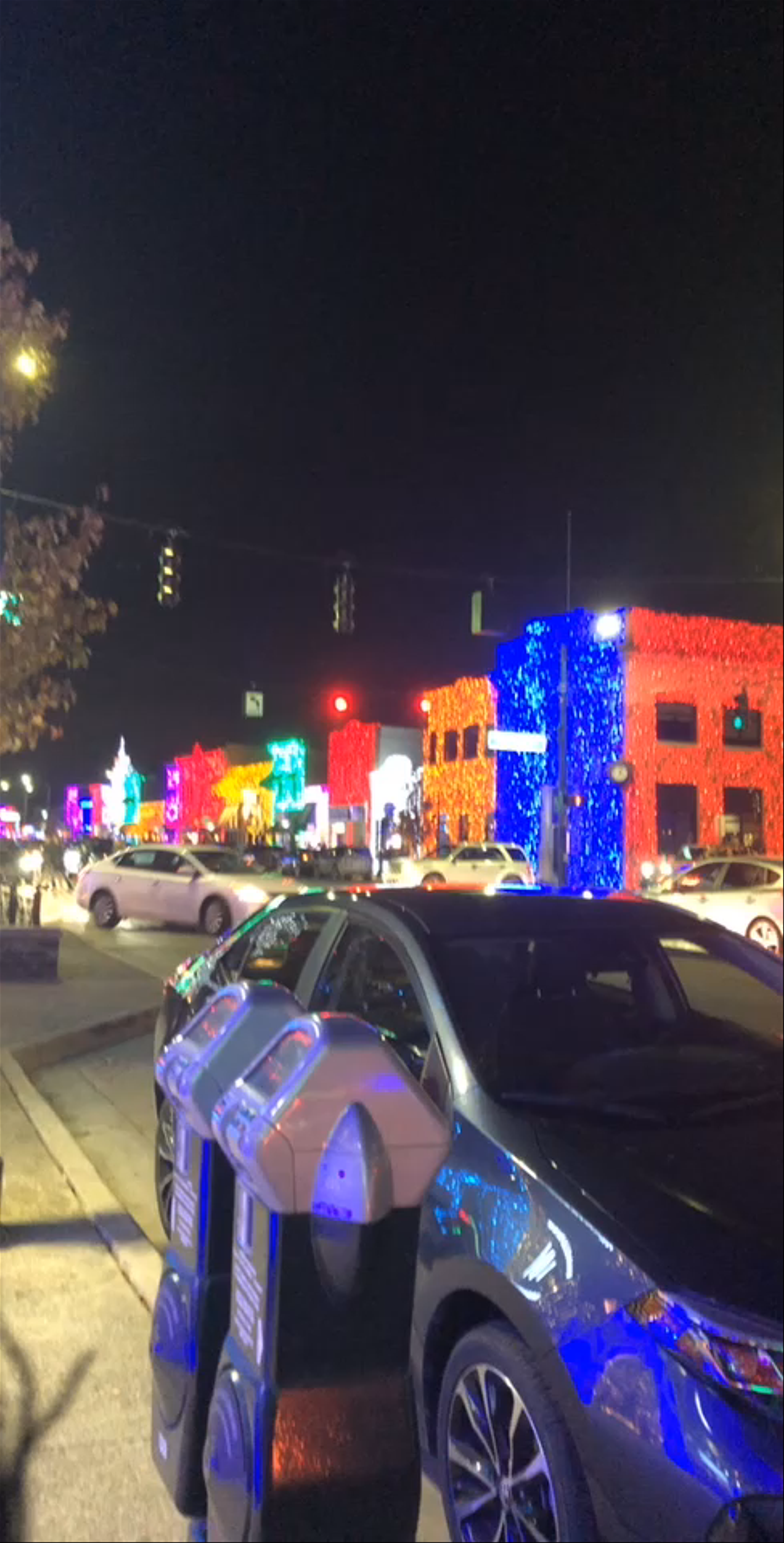 The Rochester Big Bright Light Show