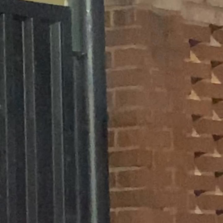 Zaxbys - They got roaches here ! Yuck! Wtf - Fast Food Near Me - Loganville, Georgia