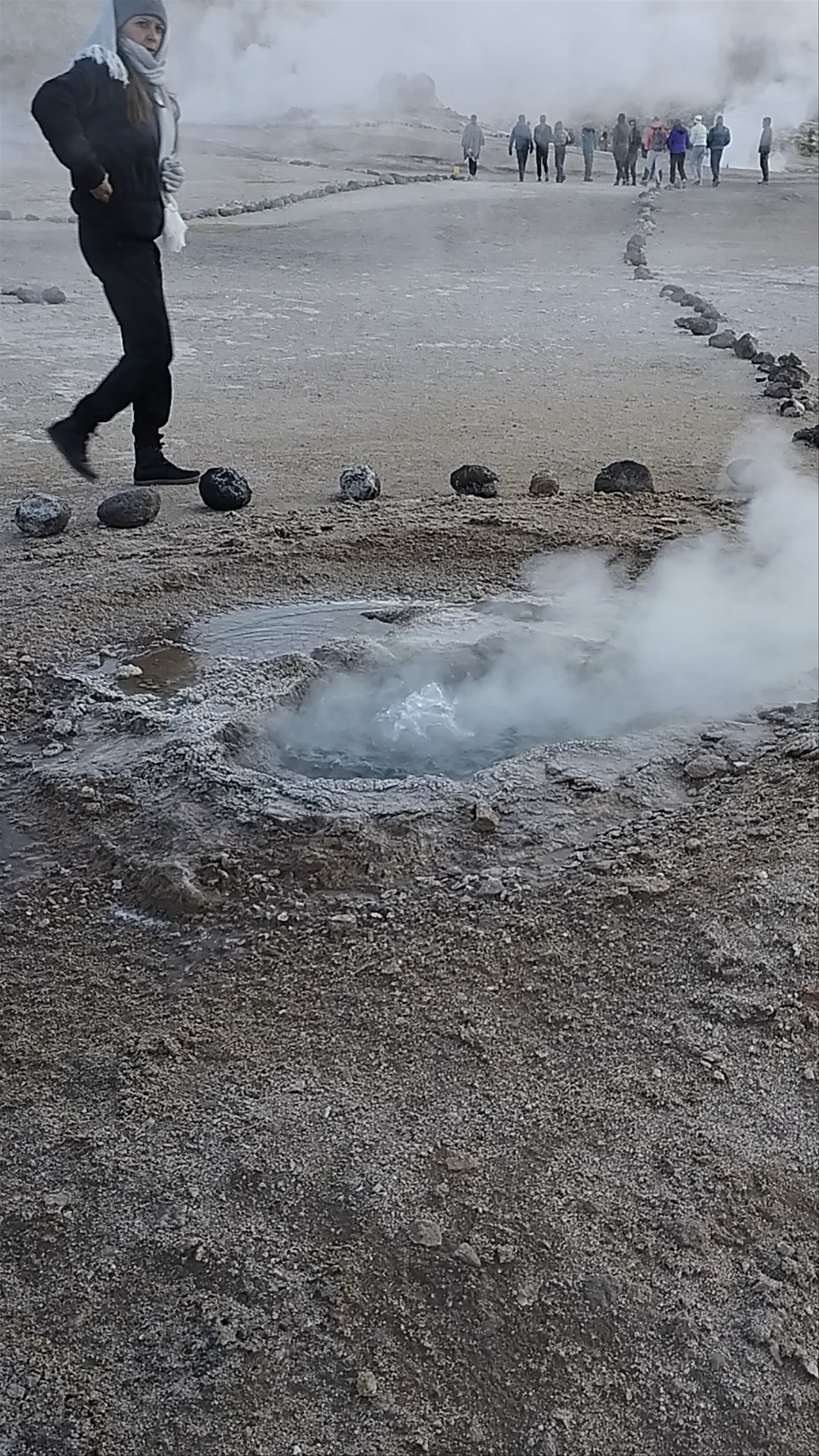 Geysers Del Tatio: Morning Steam and Surreal Landscapes in Antofagasta, Chile
