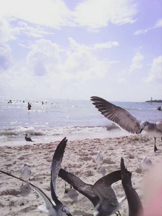 Punta Esmeralda Playa - Mis tocayitas - Beaches Near Me - Playa del Carmen, ROO