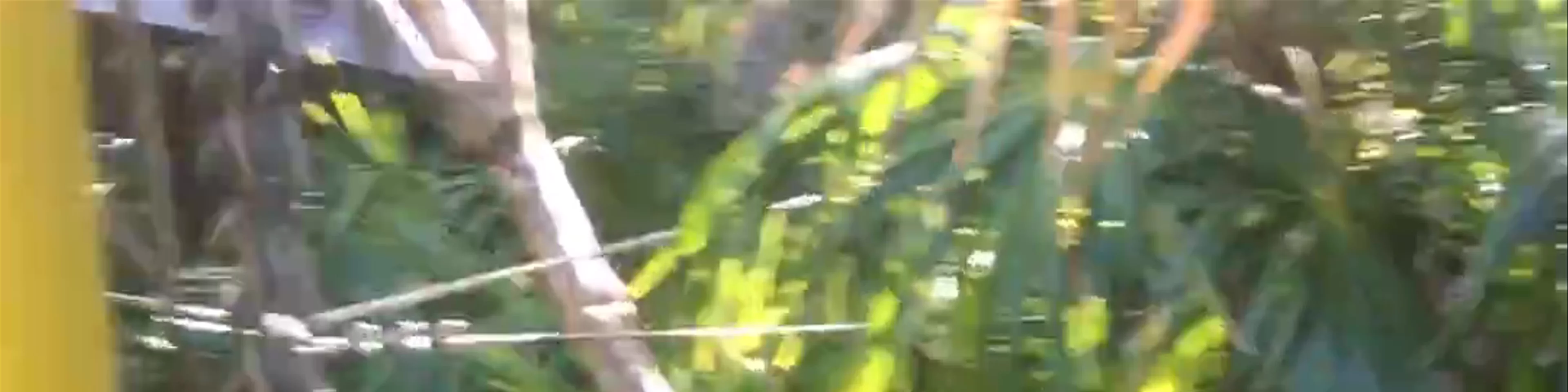 Parque Xel-Há