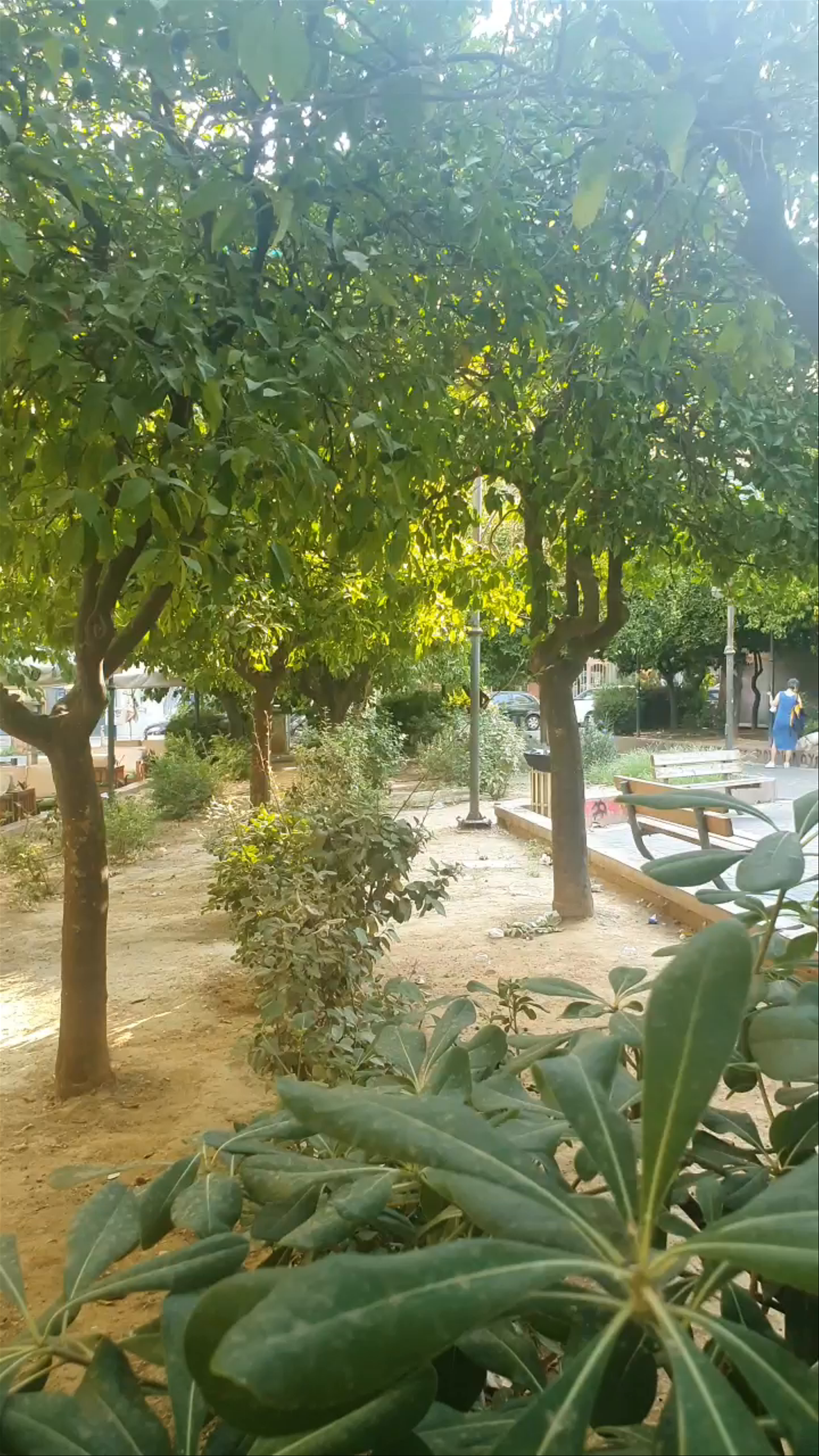 Saint Lazarus Square (Eleftherios Venizelos)