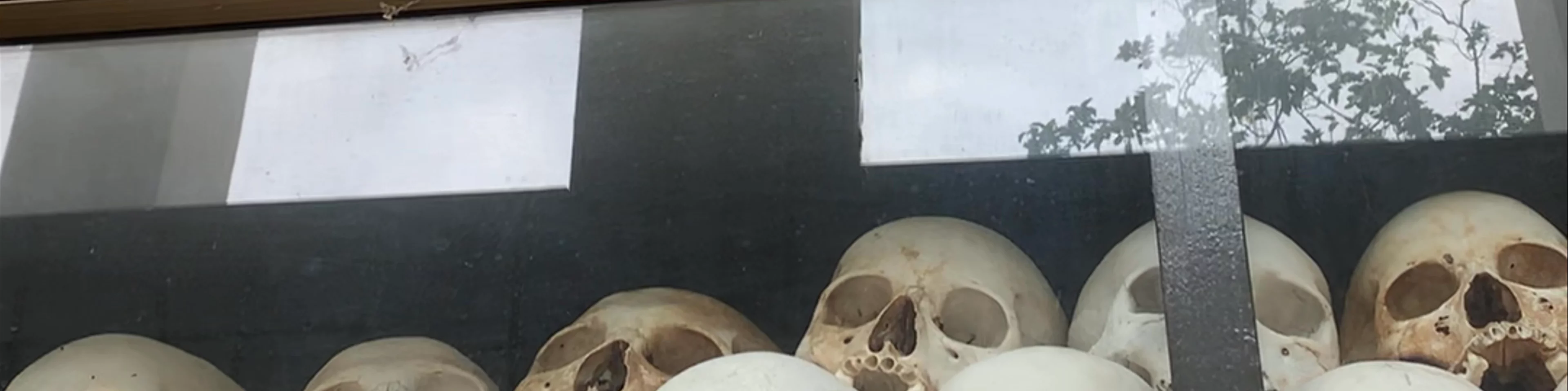 Killing Fields